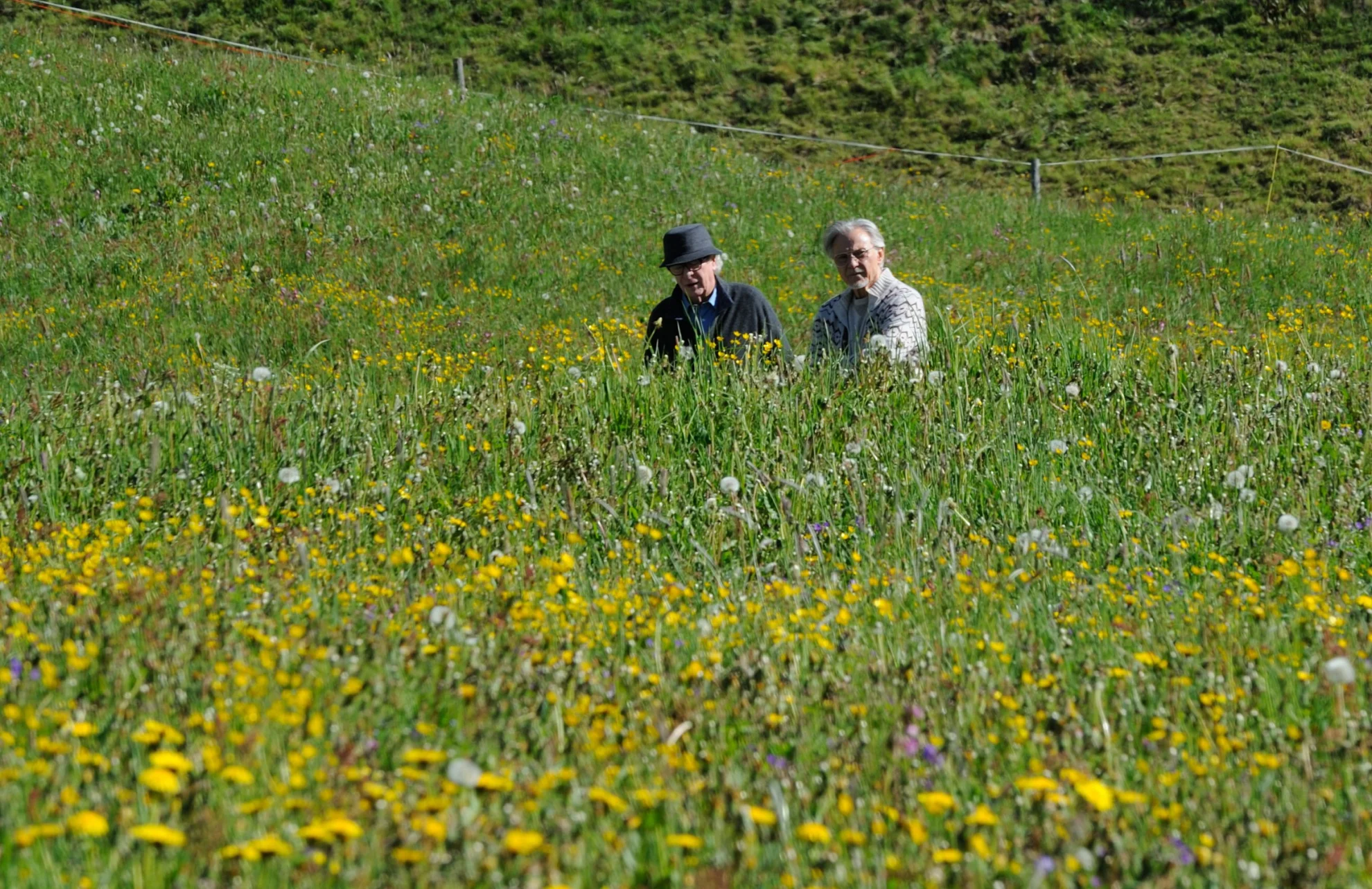 Youth hero banner image placeholder