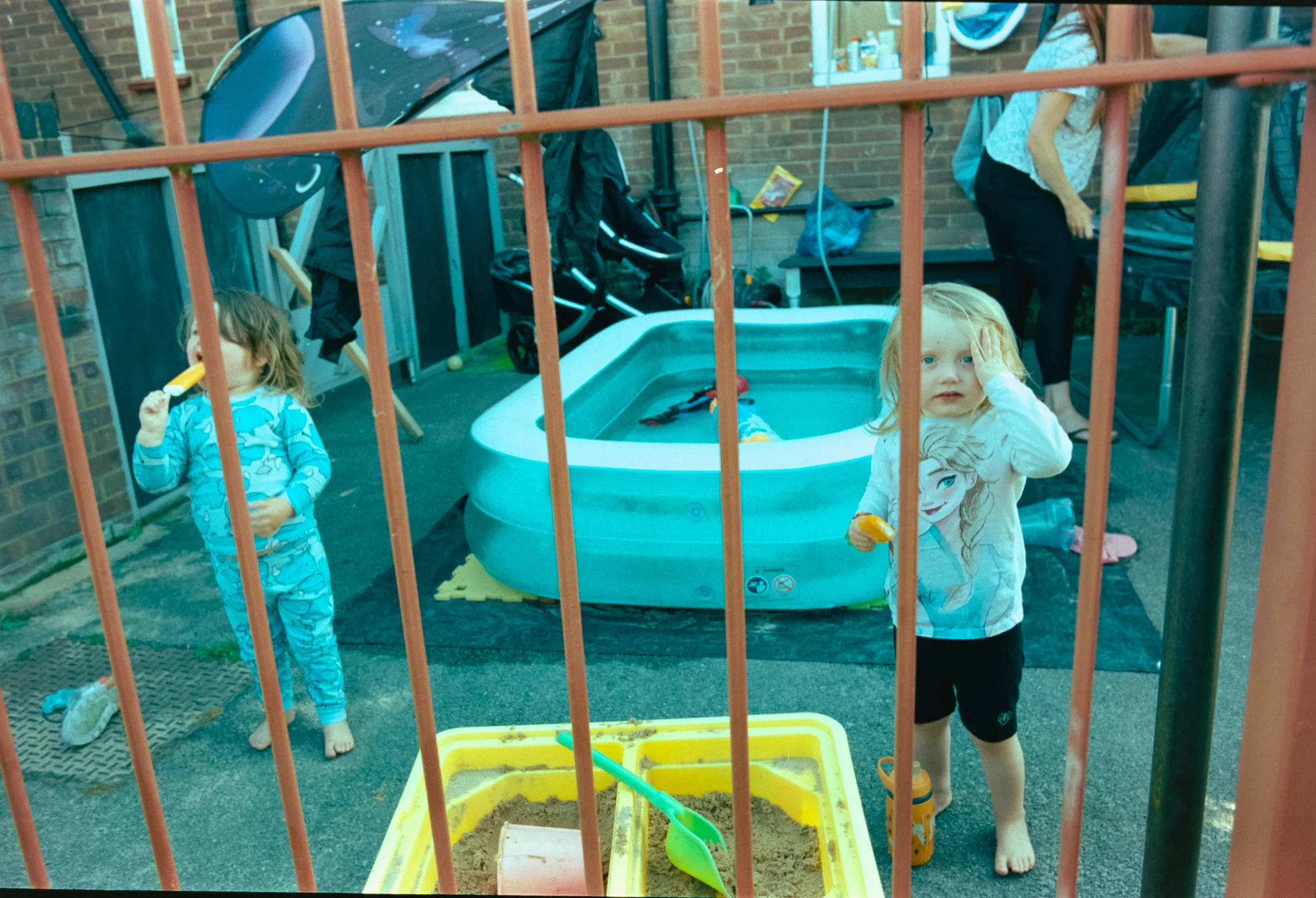 Bird hero banner image placeholder