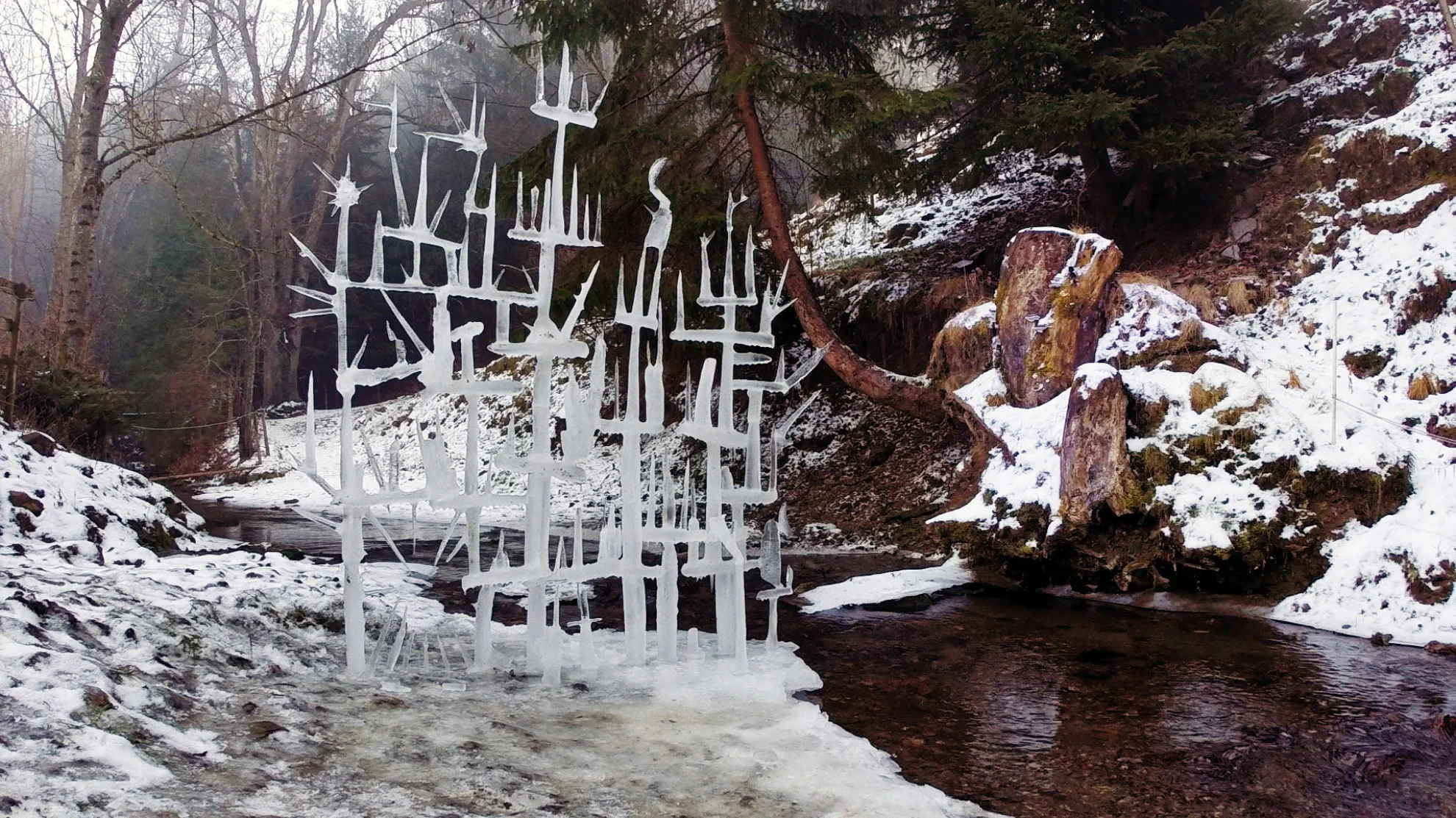 Eisenberger hero banner image