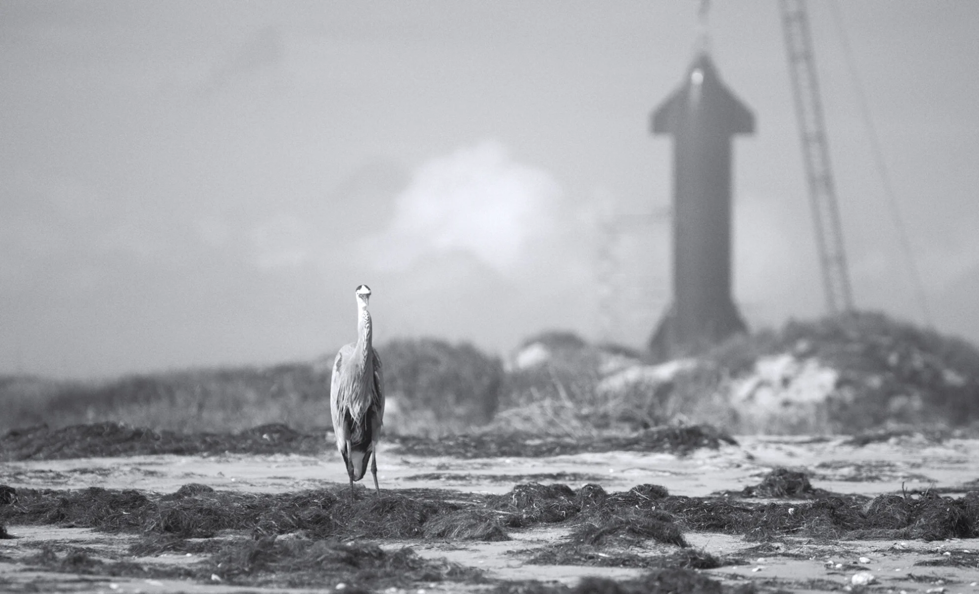 Shifting Baselines hero banner image placeholder