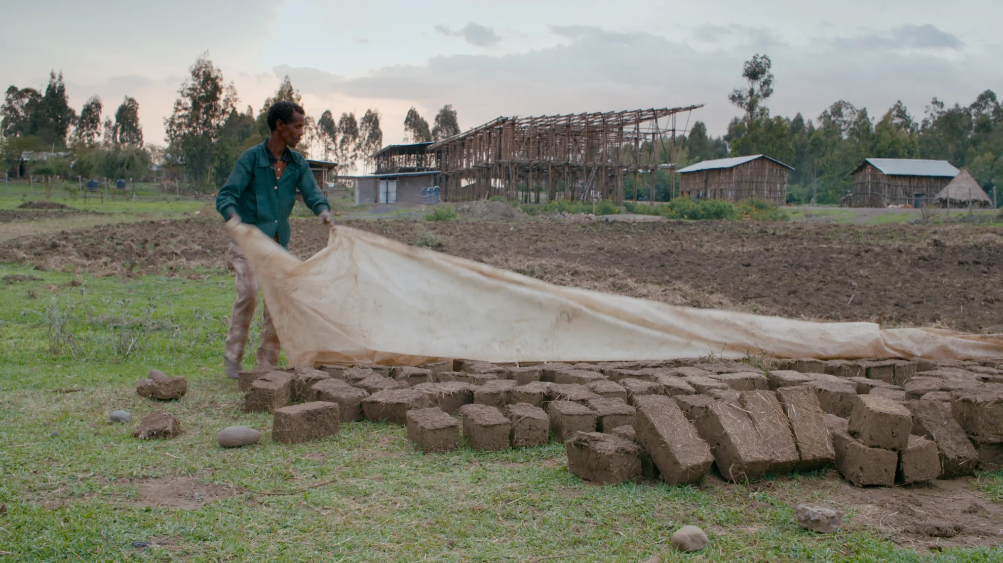 Urban Genesis hero banner image placeholder