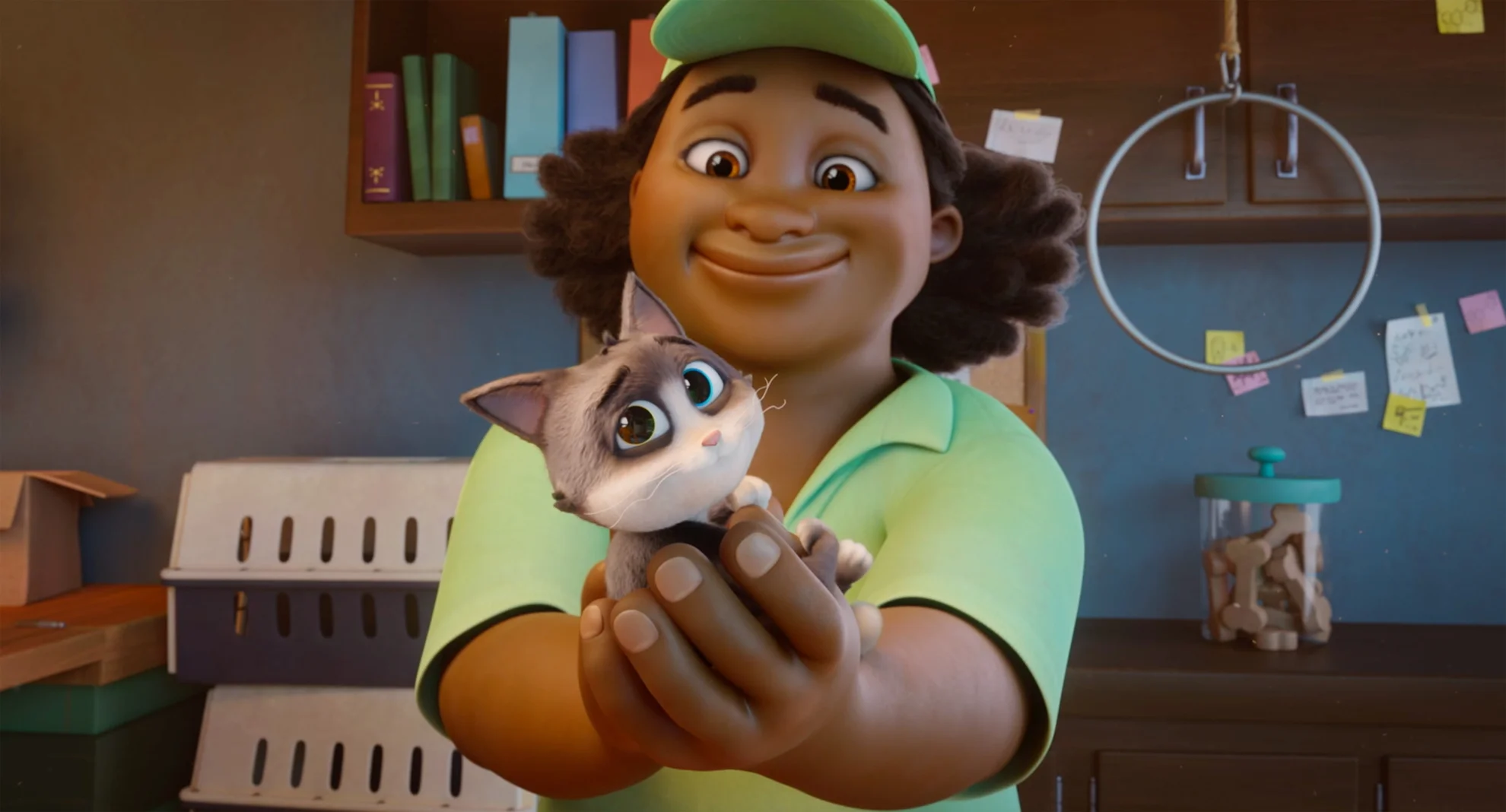 Alles für die Katz hero banner image placeholder