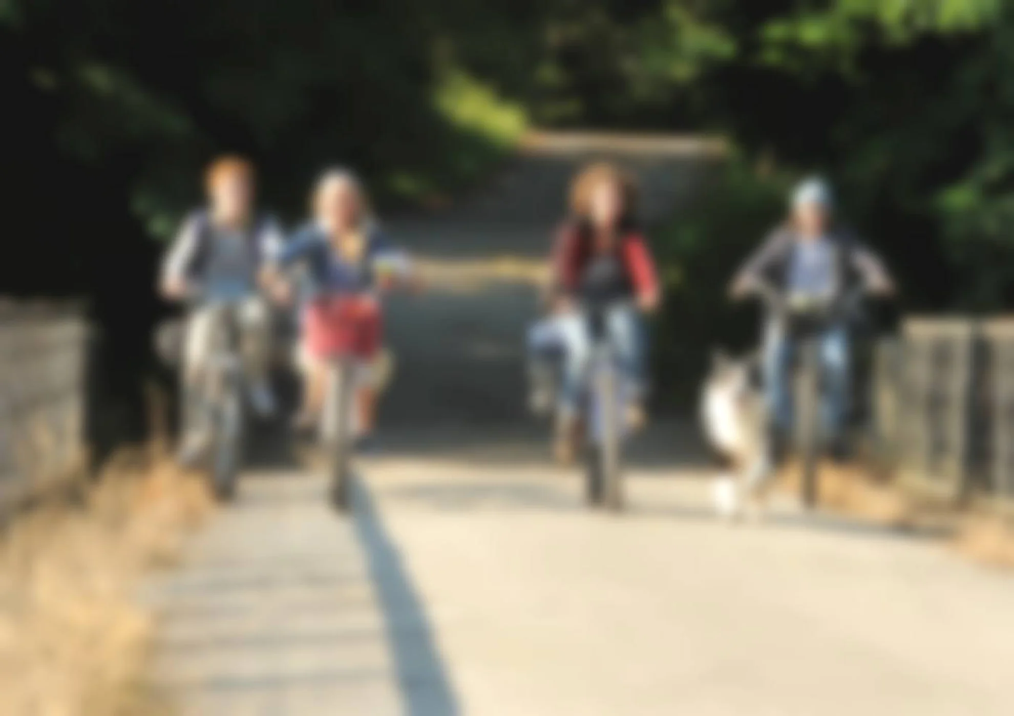 Fünf Freunde 2 hero banner image