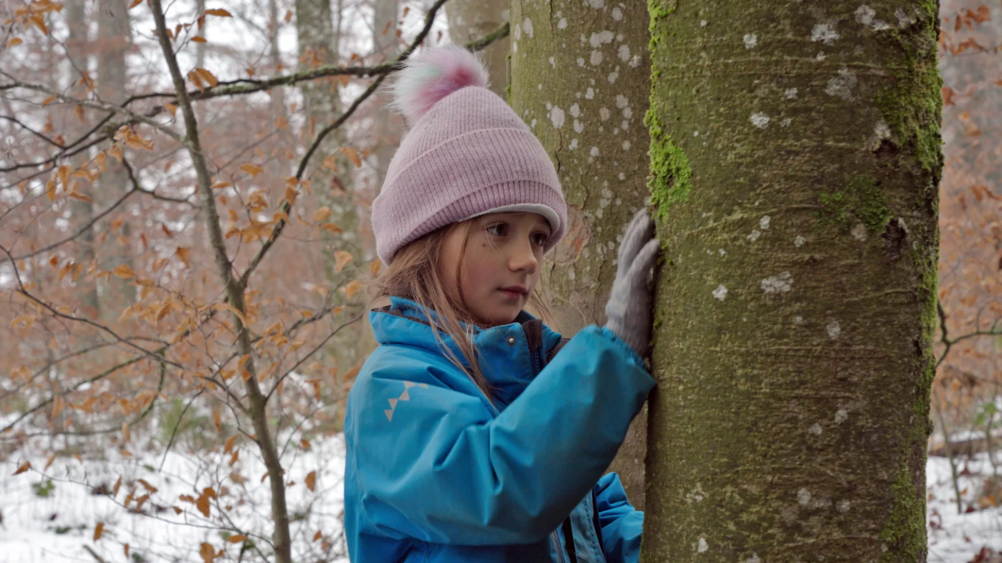 Von Kindern und Bäumen – Ein Jahr in der Waldschule hero banner image