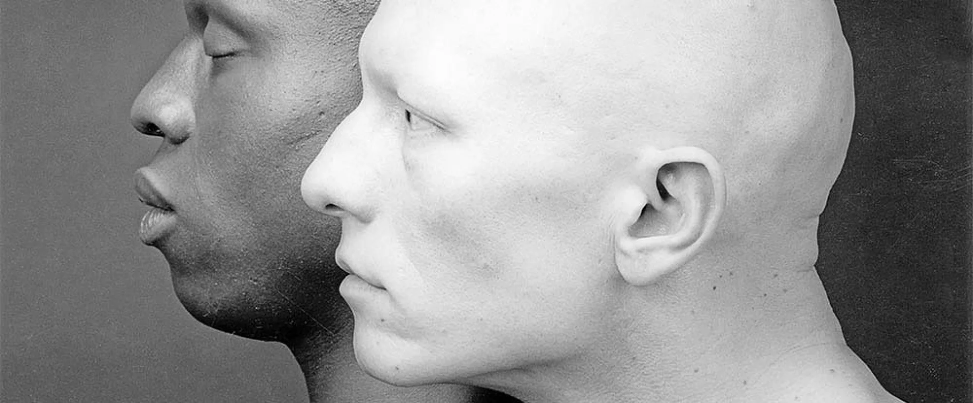 Mapplethorpe: Look at the Pictures hero banner image placeholder