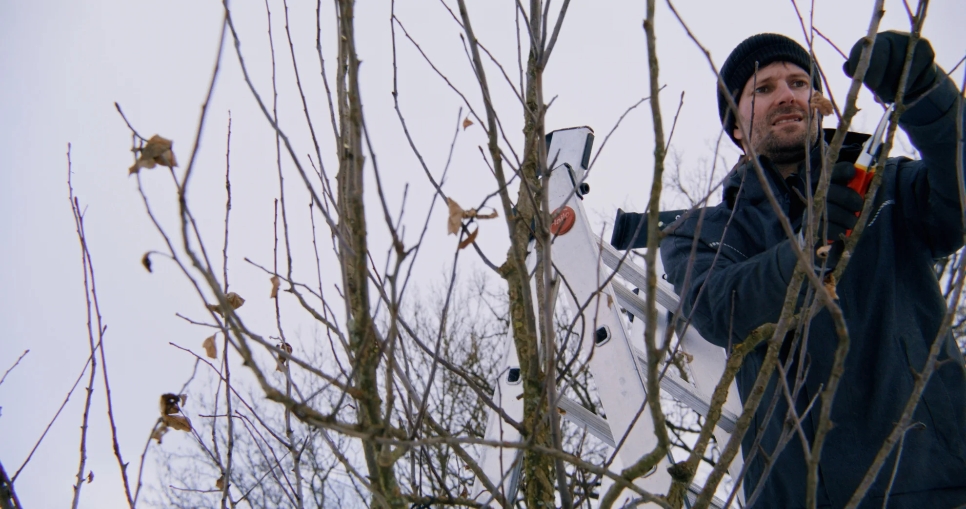 Wir Erben hero banner image placeholder