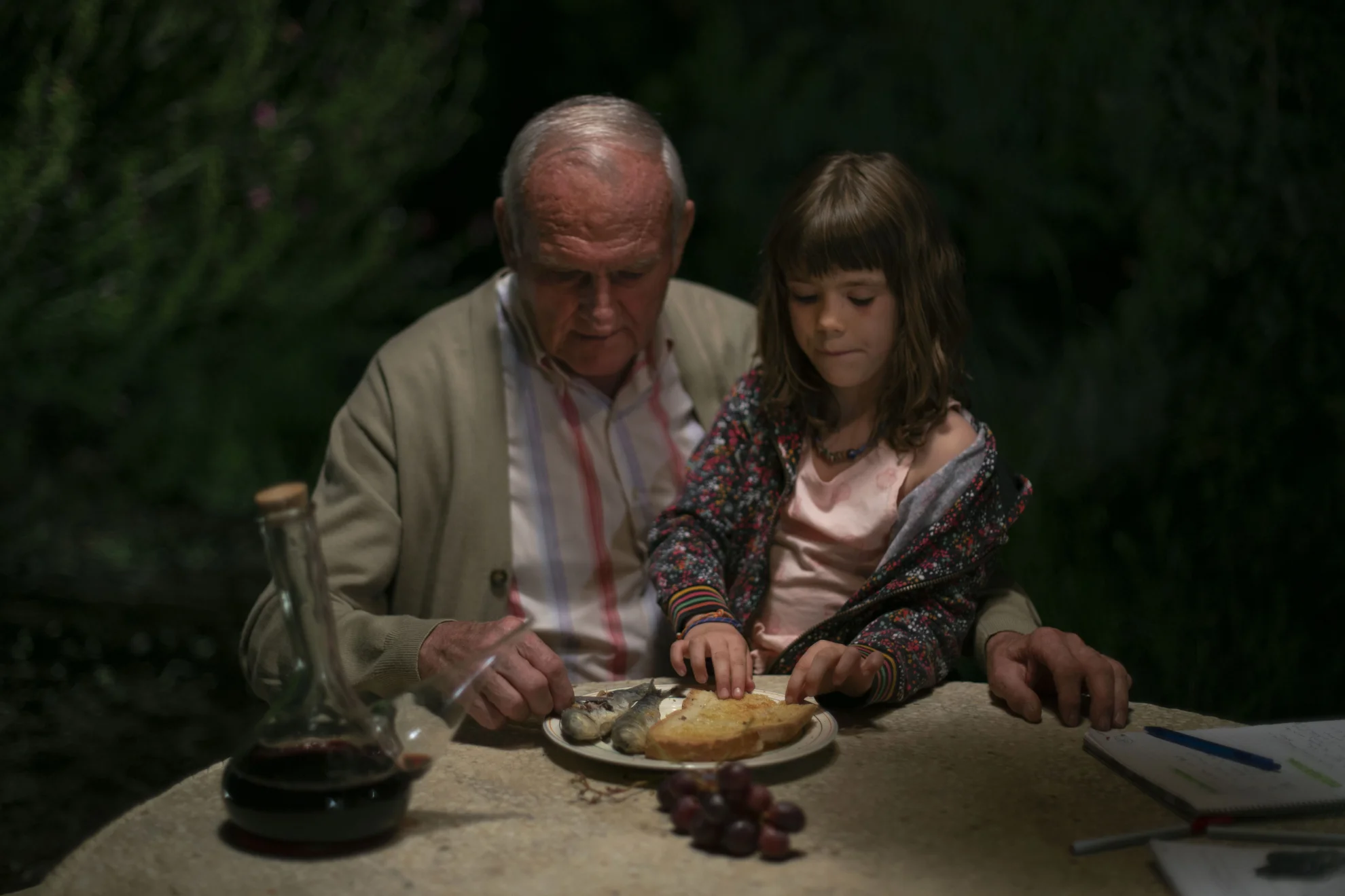 Alcarràs hero banner image placeholder