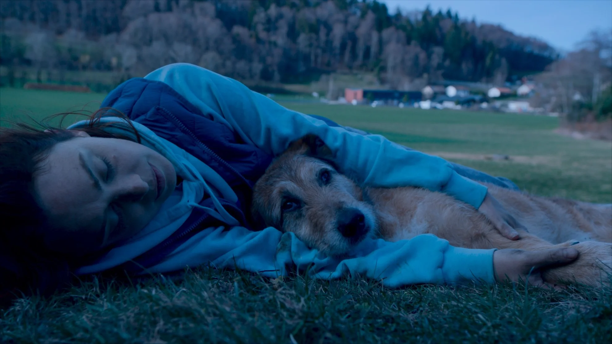 Le procès du chien hero banner image placeholder