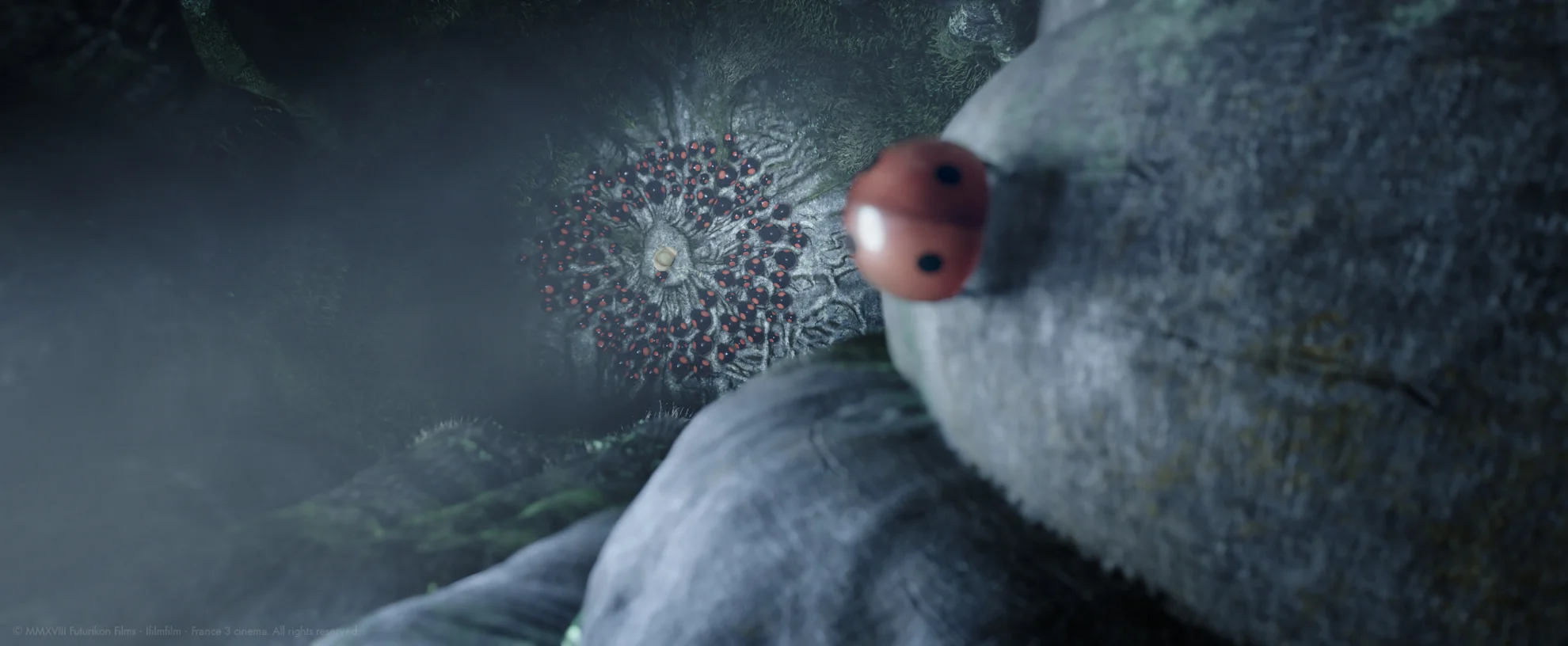 Minuscule – Abenteuer in der Karibik hero banner image placeholder