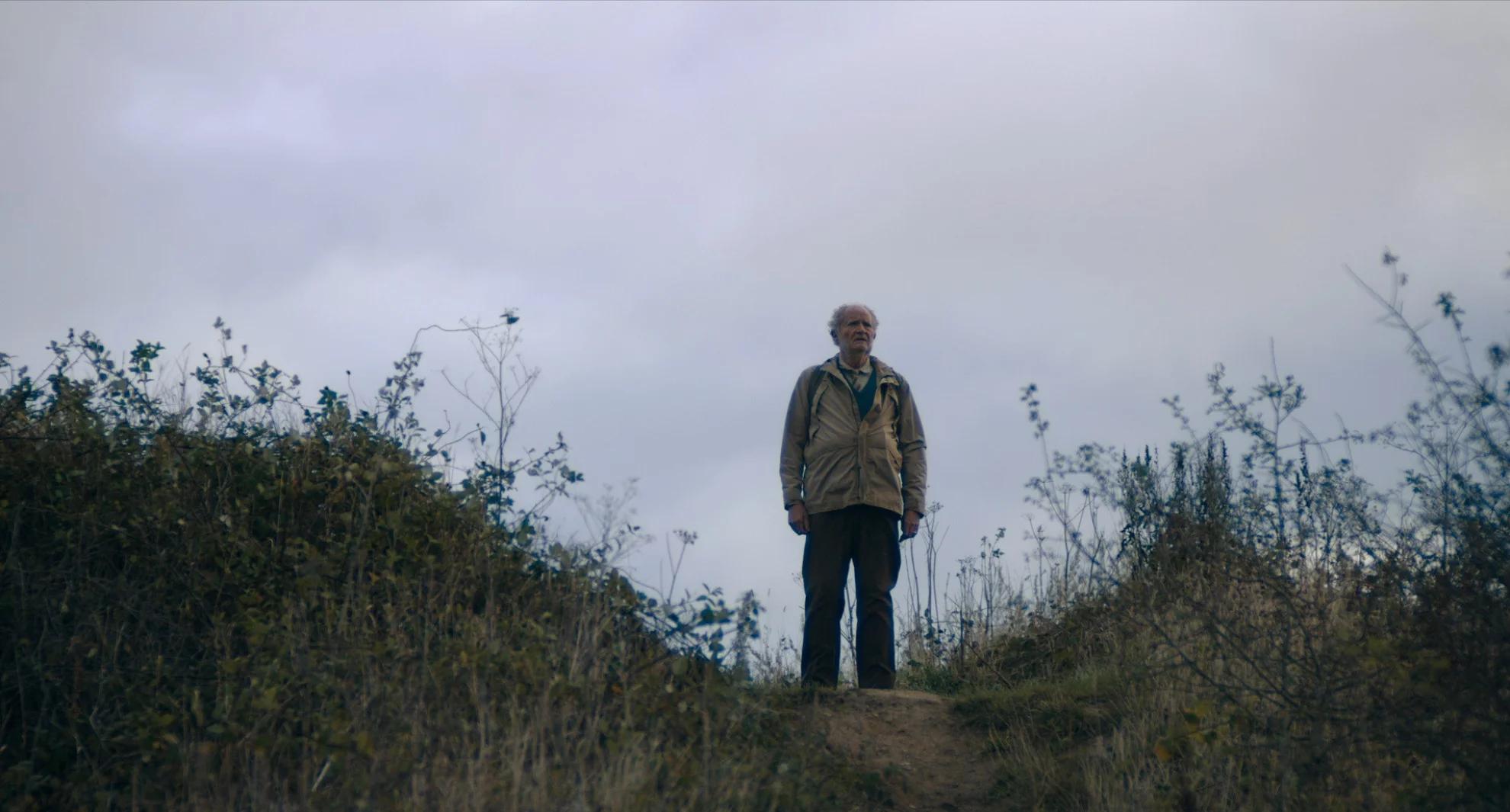 The Unlikely Pilgrimage of Harold Fry hero banner image placeholder