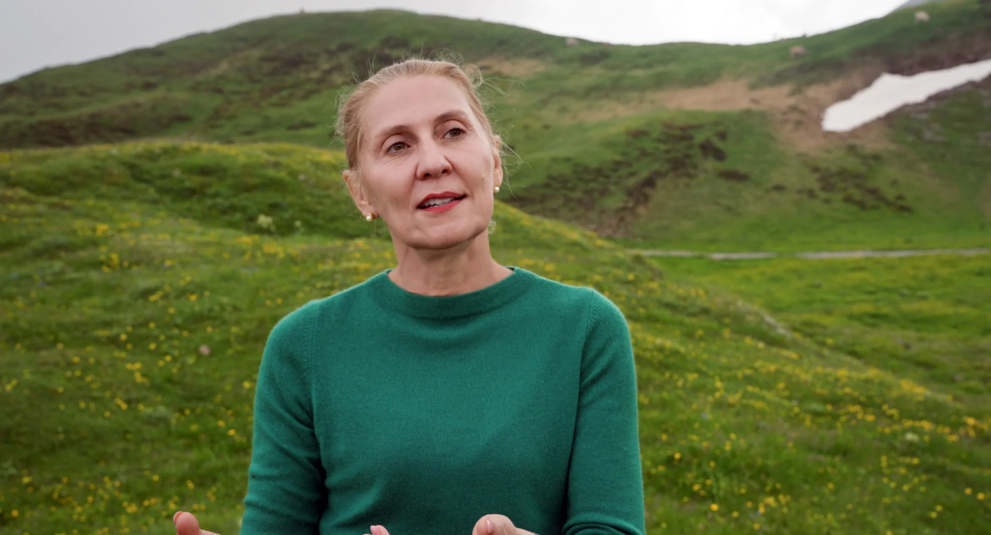 Unter Pflanzen - Ein Perspektivenwechsel hero banner image placeholder