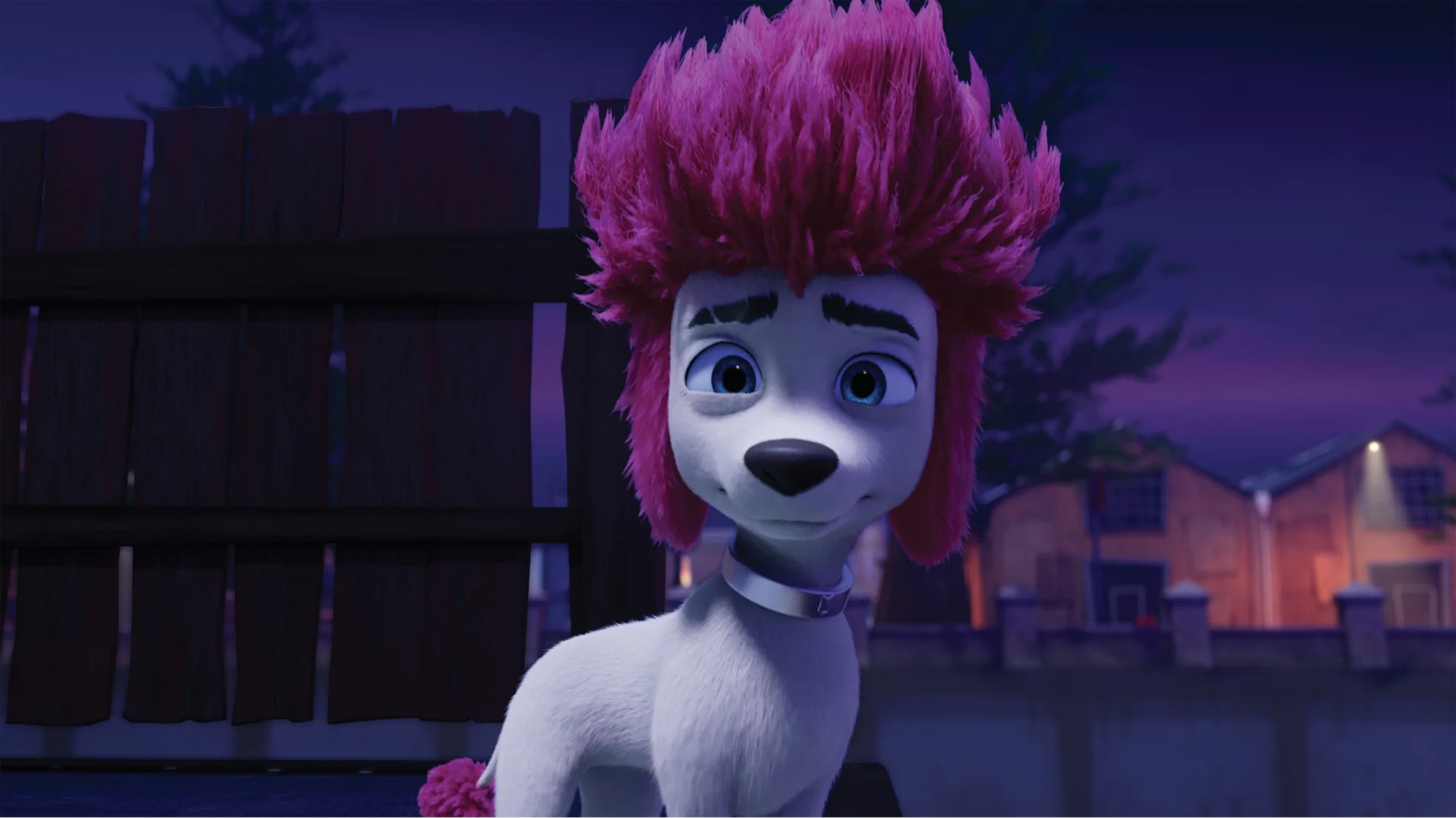 100% Wolf hero banner image placeholder