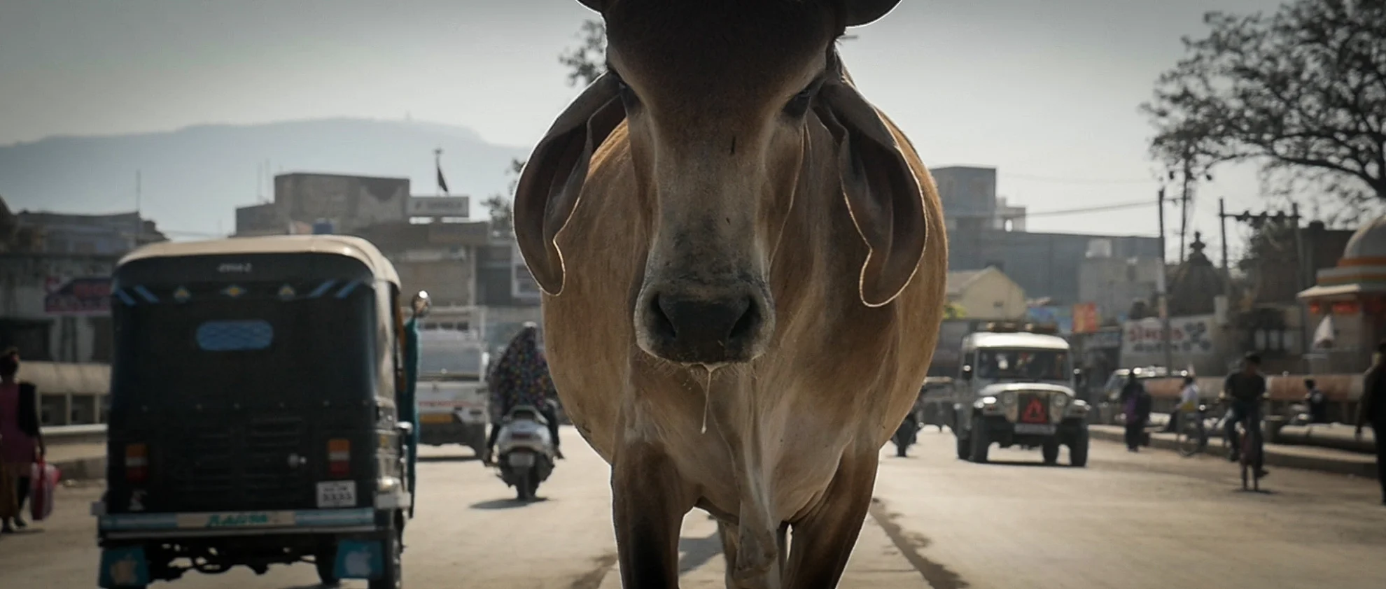 The End of Meat hero banner image