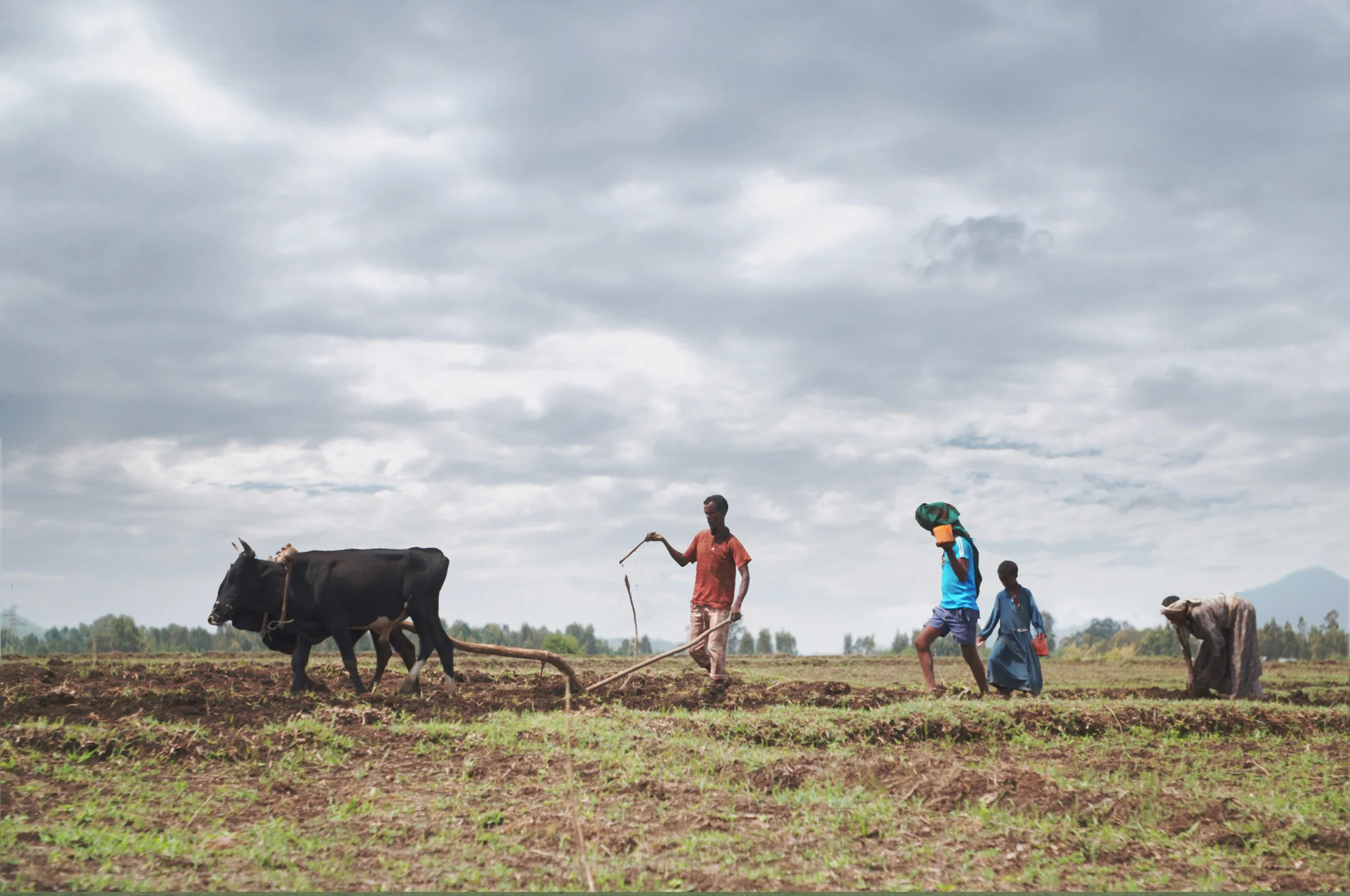 Urban Genesis hero banner image placeholder