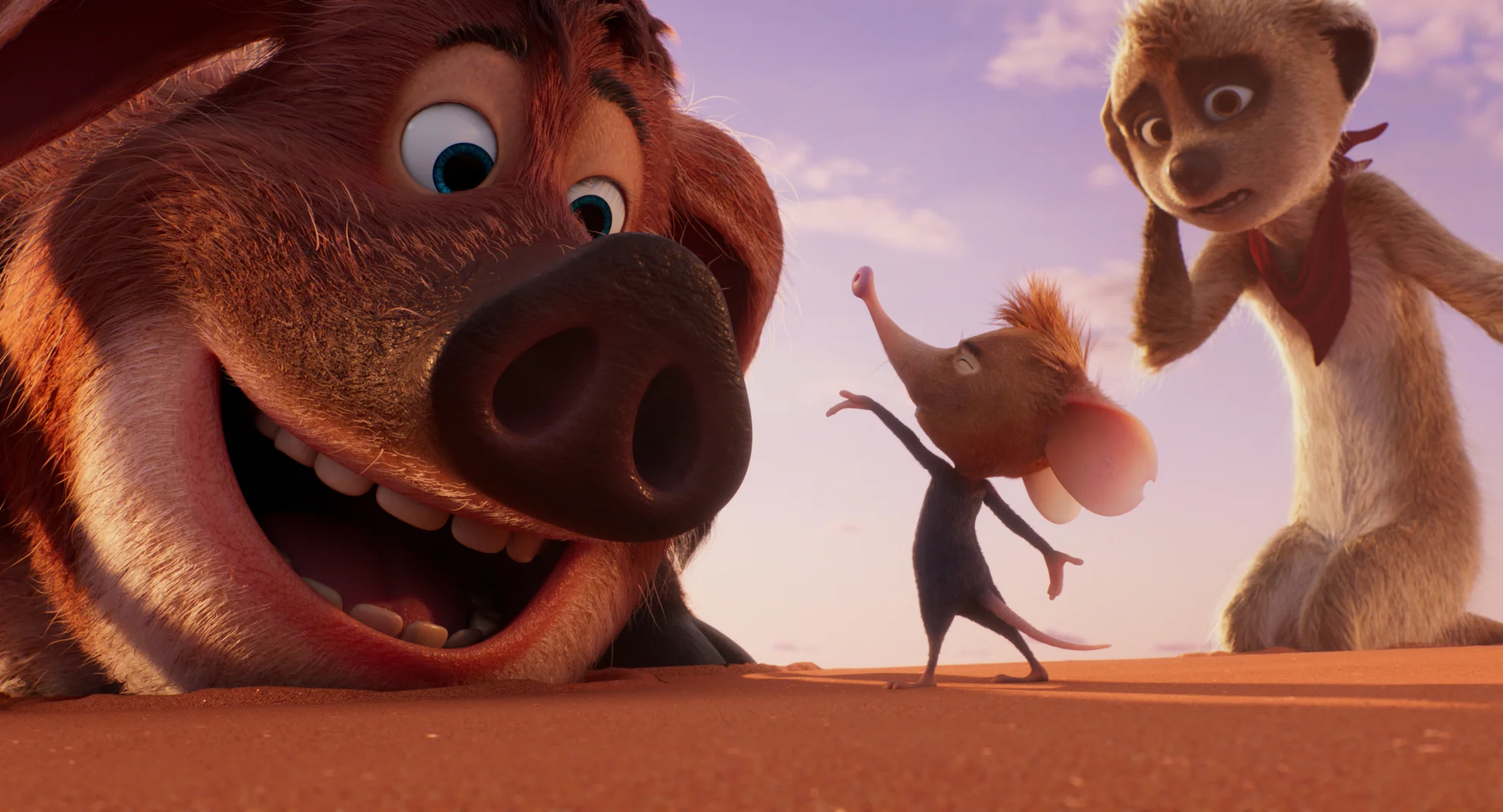 Tafiti - Ab durch die Wüste hero banner image placeholder