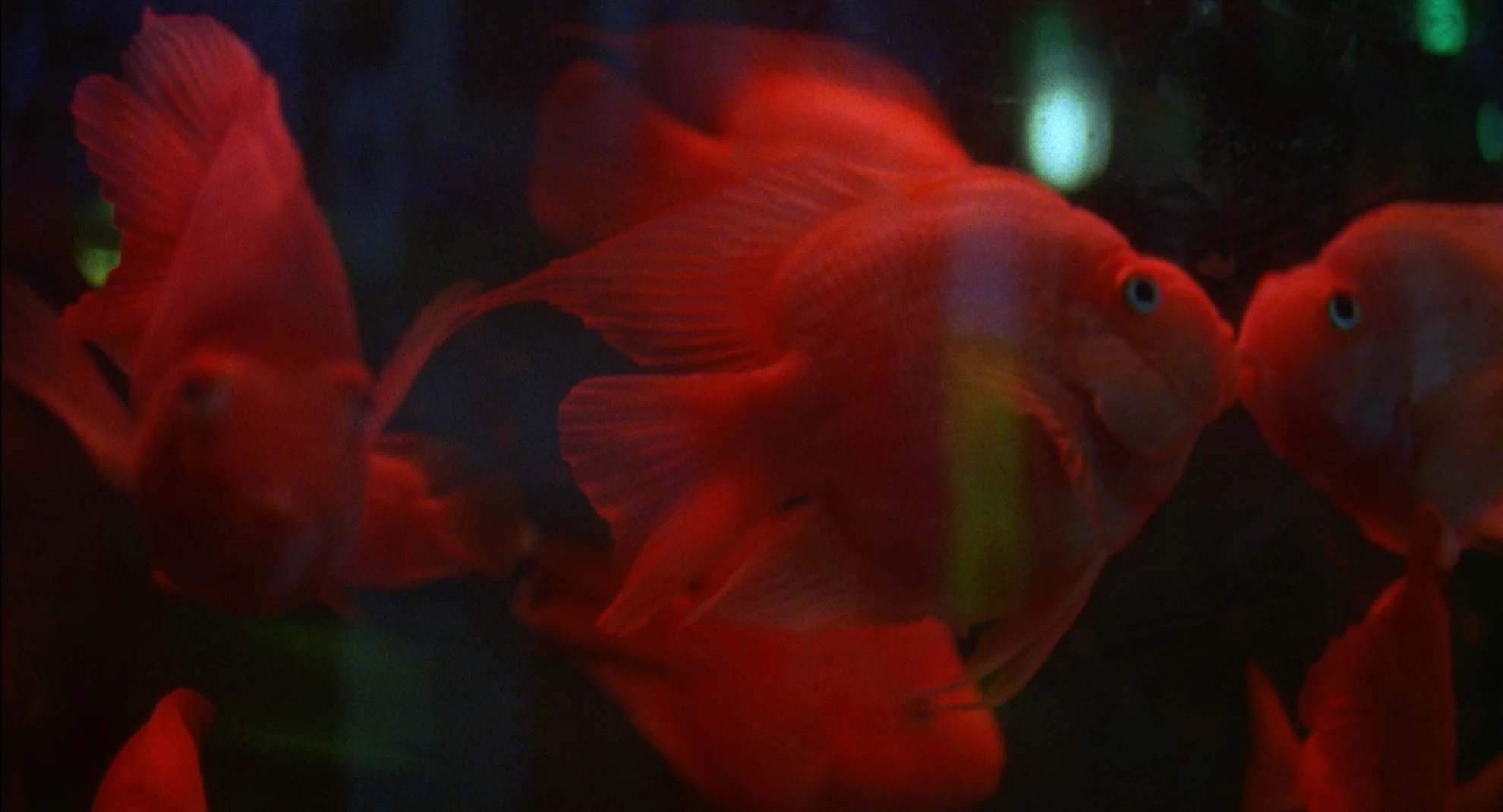 Closing Time hero banner image placeholder