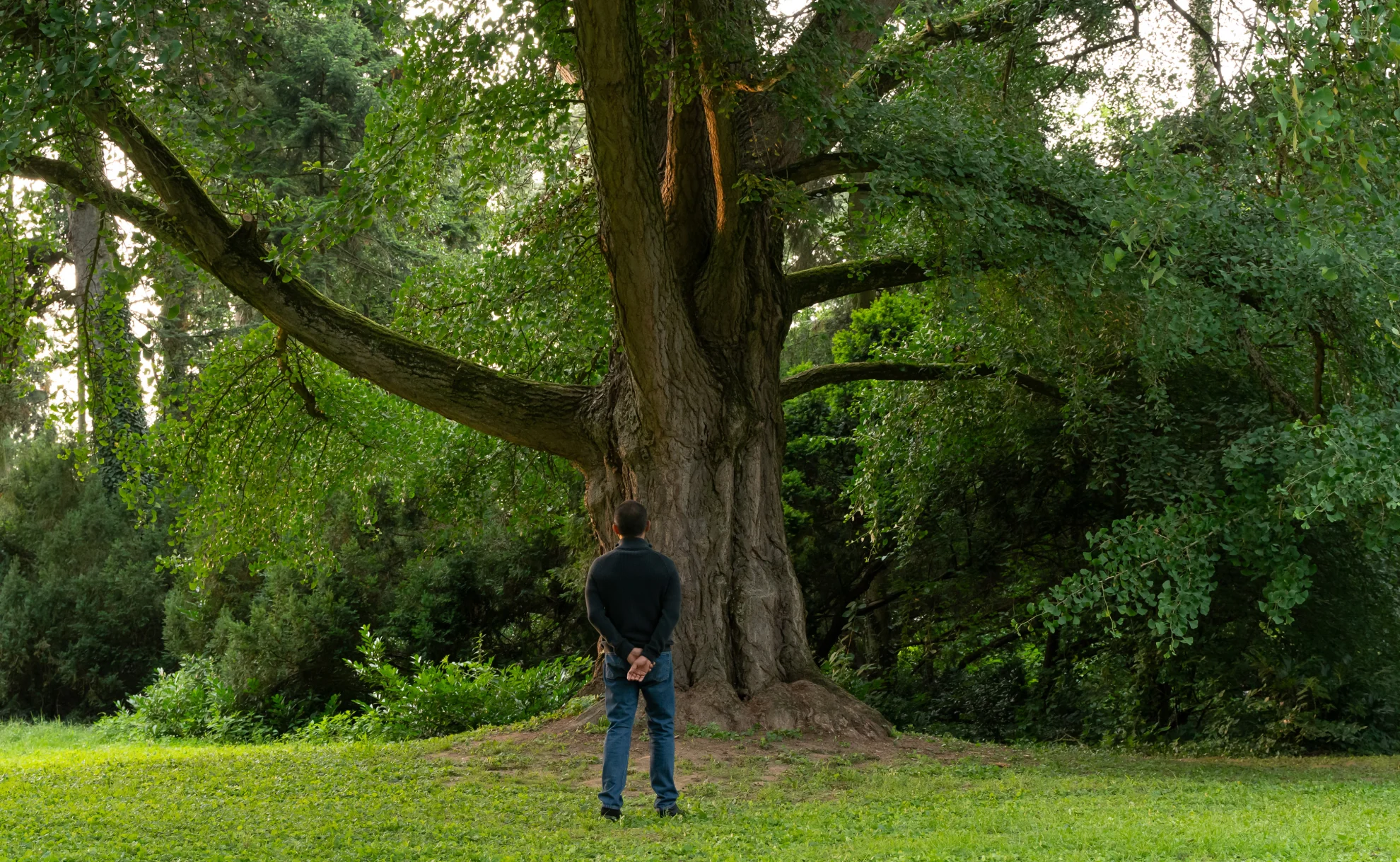 Silent Friend hero banner image