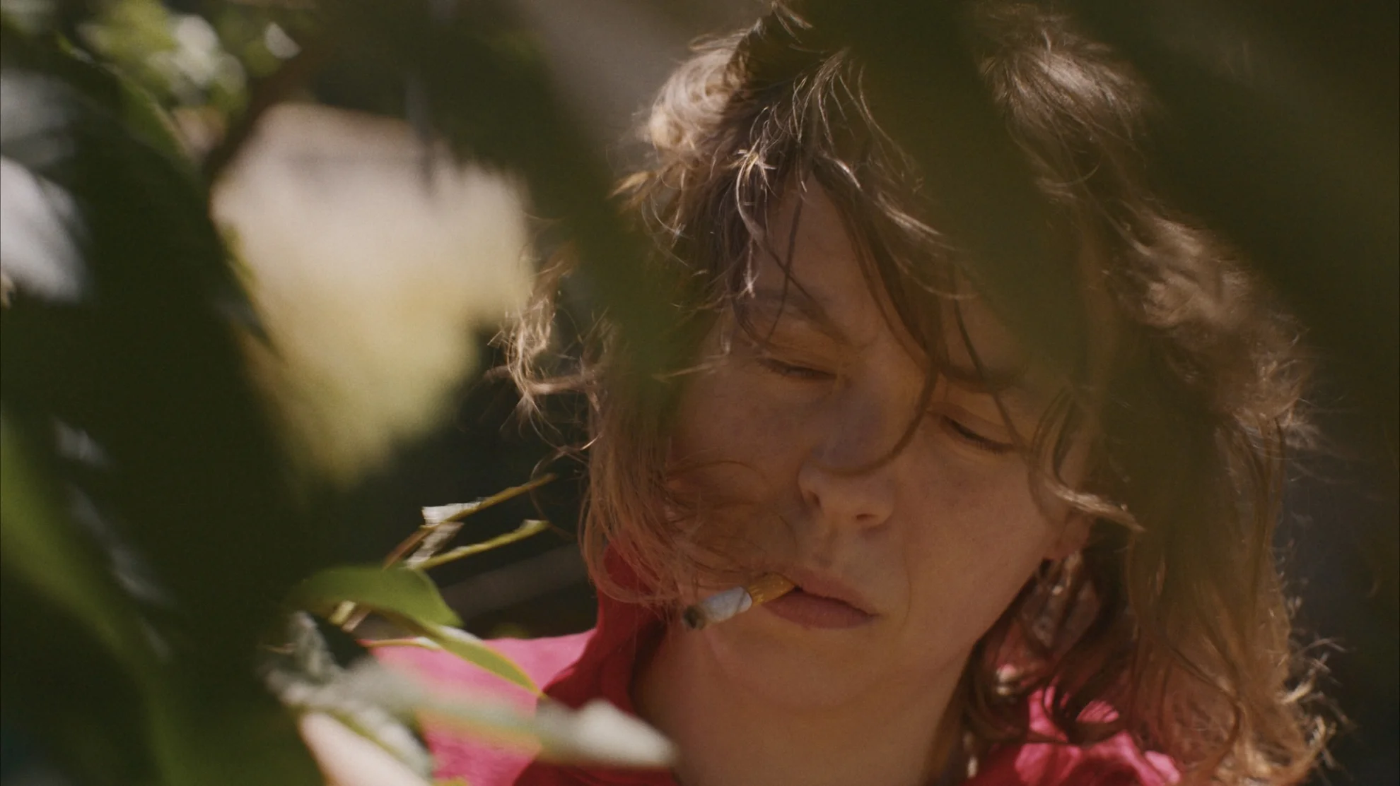 La belle année hero banner image placeholder