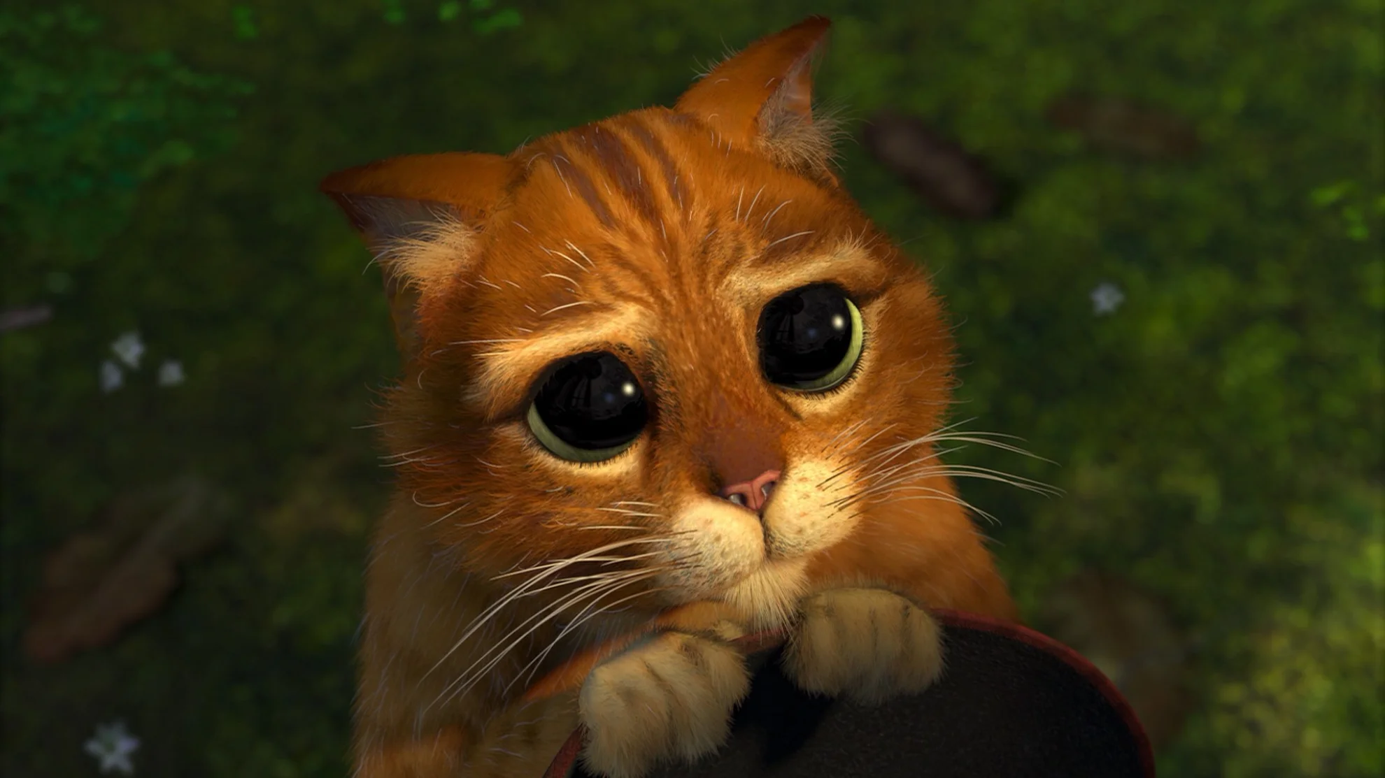 Shrek 2 - Der tollkühne Held kehrt zurück hero banner image placeholder
