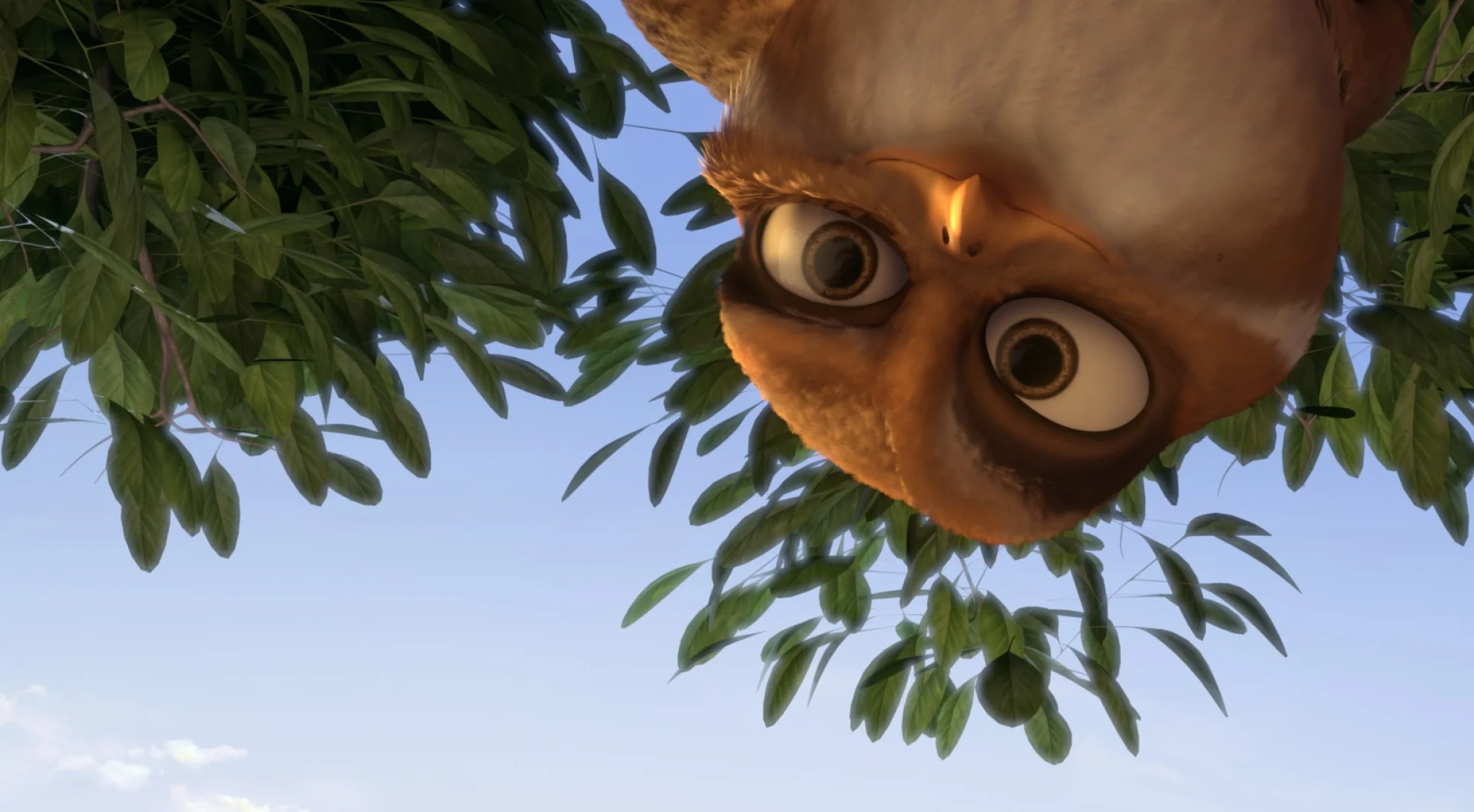 Zambezia hero banner image