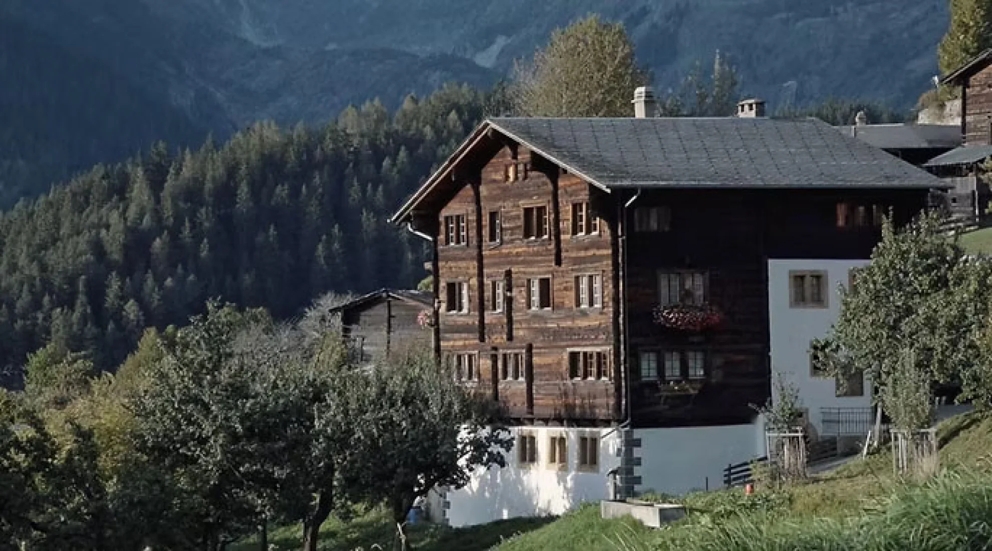 So is gsi hero banner image placeholder