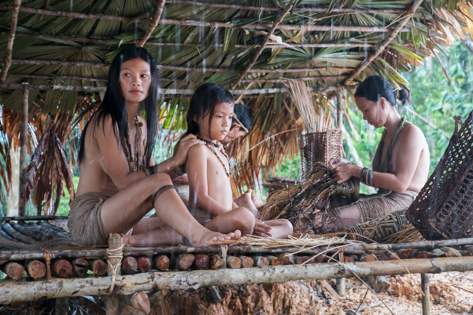 Bruno Manser - Die Stimme des Regenwaldes hero banner image placeholder