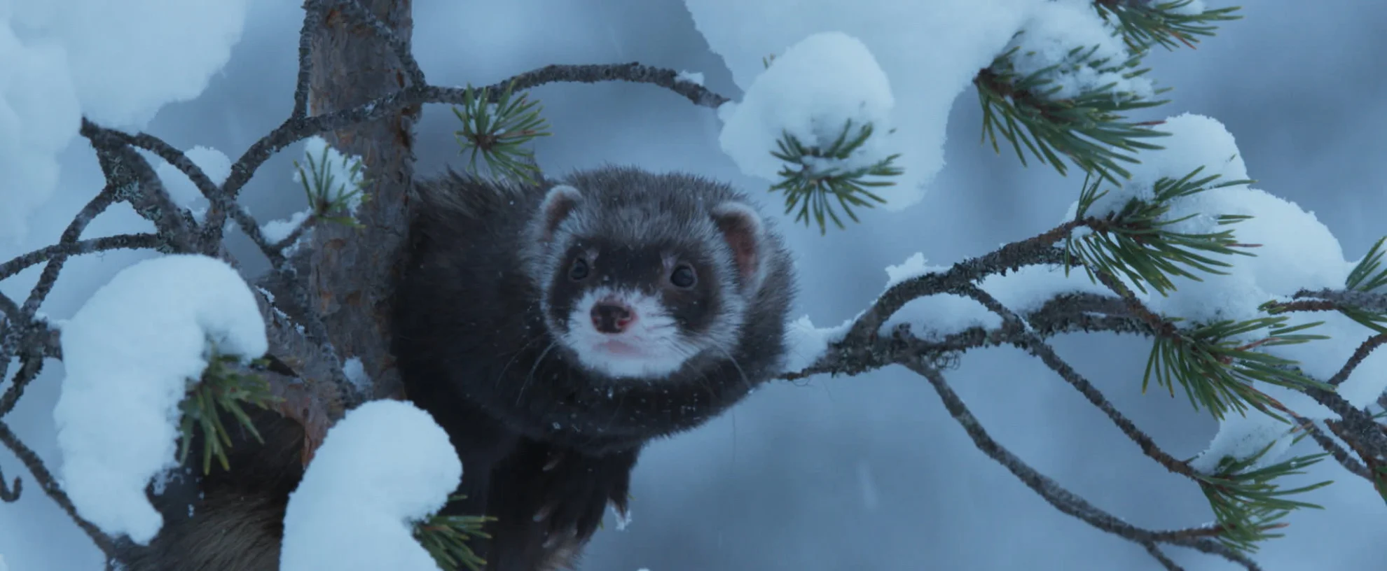 Ailos Reise hero banner image placeholder