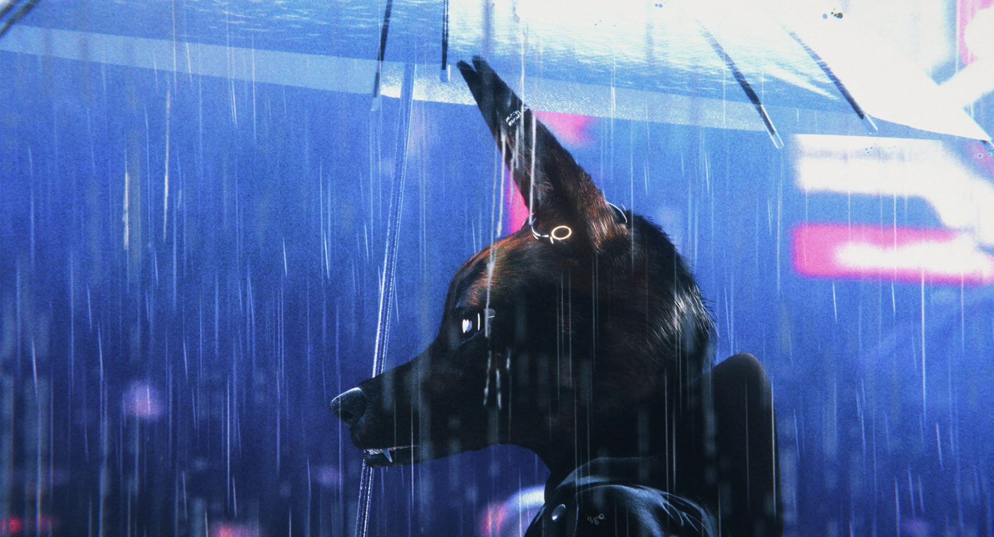 Bouchra hero banner image