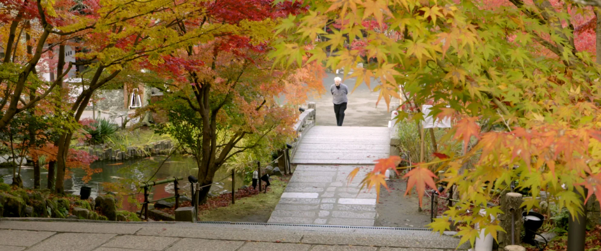 Adolf Muschg – der Andere hero banner image placeholder