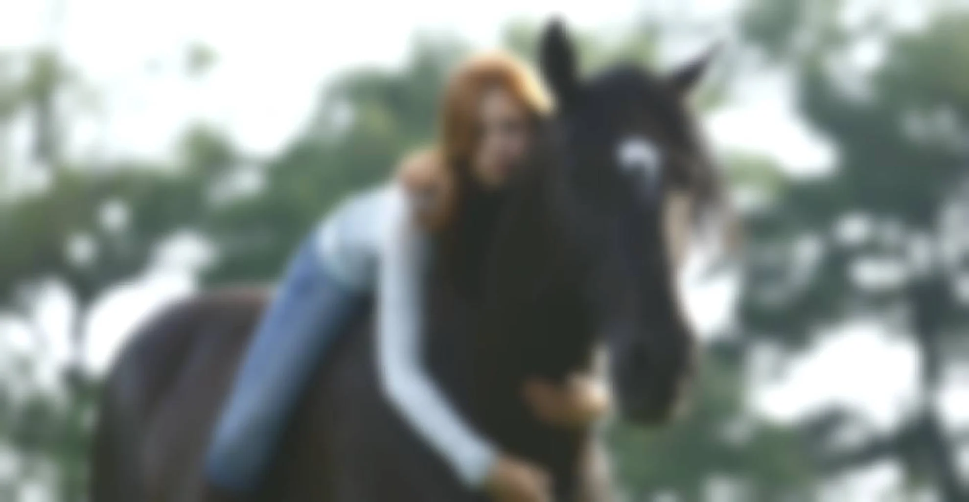 Ostwind hero banner image placeholder