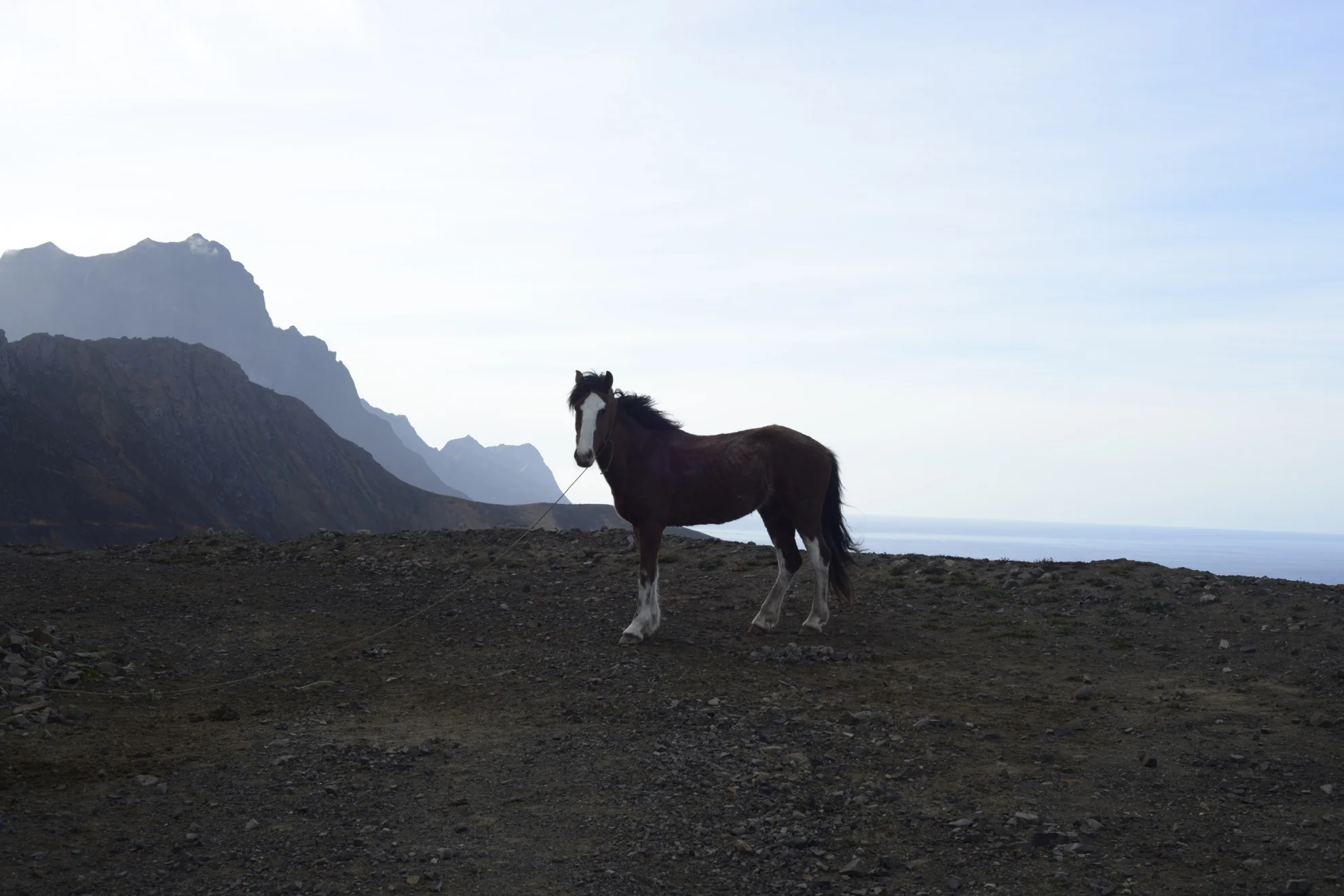 Insulaire hero banner image placeholder