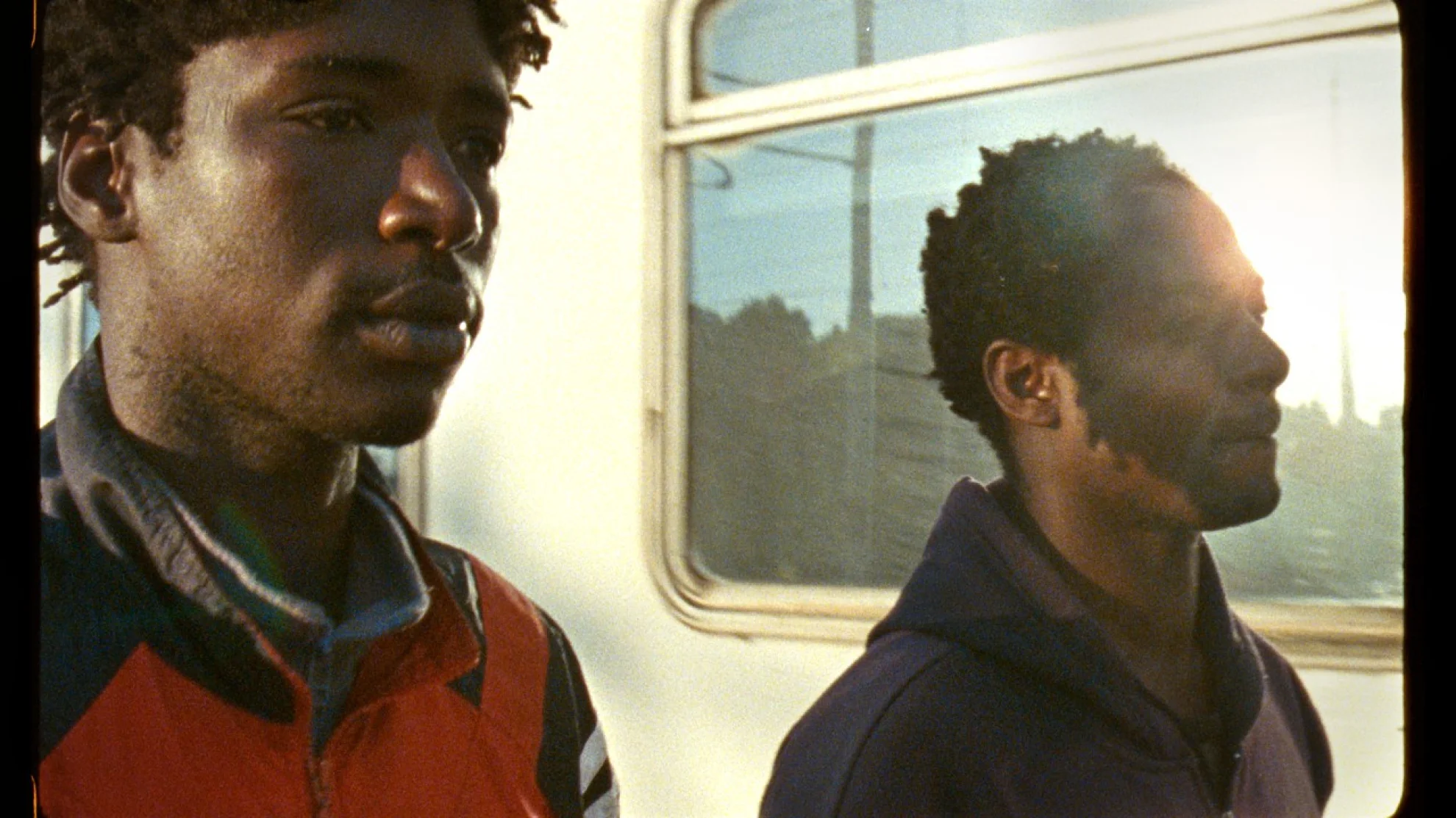 Mediterranea hero banner image