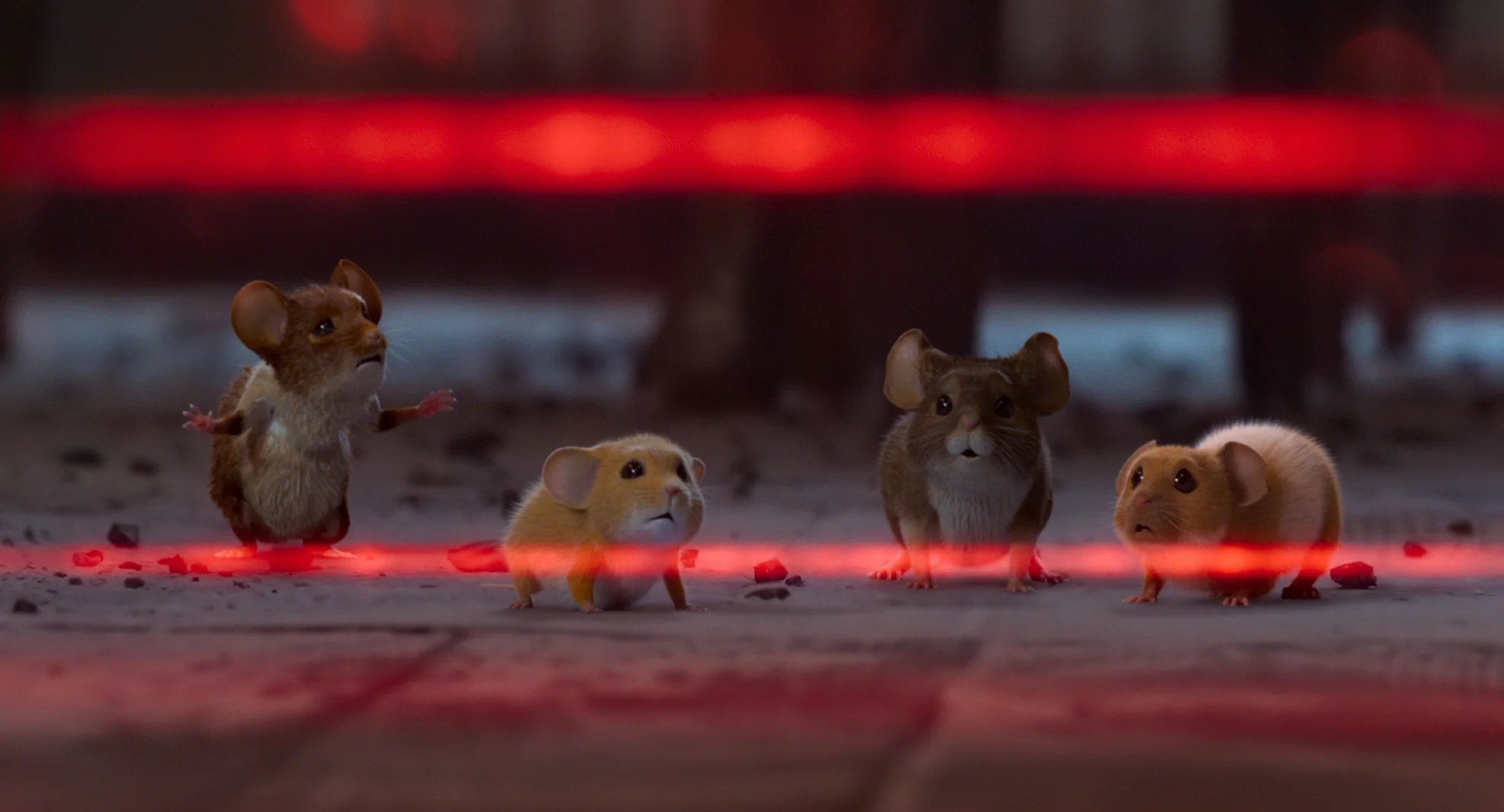 Mission Mäusejagd - Chaos unterm Weihnachtsbaum hero banner image placeholder