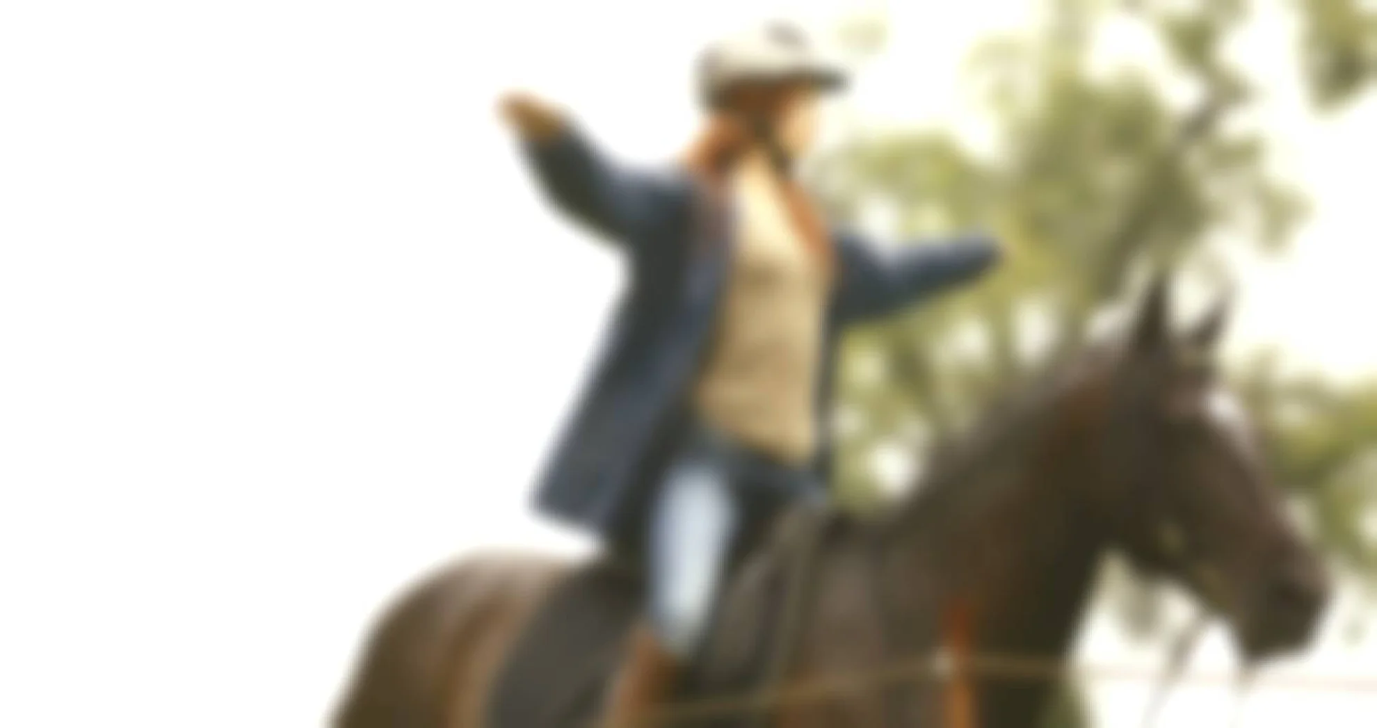 Ostwind hero banner image placeholder