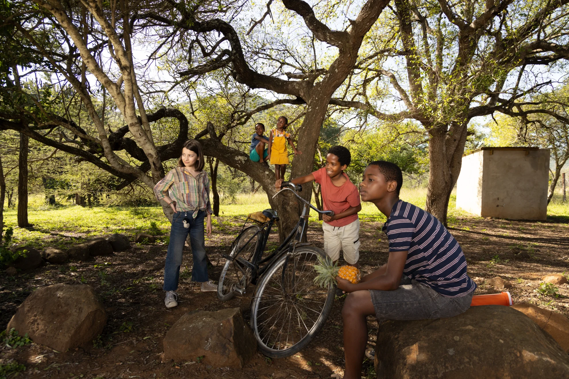 Thabo - Das Nashorn-Abenteuer hero banner image