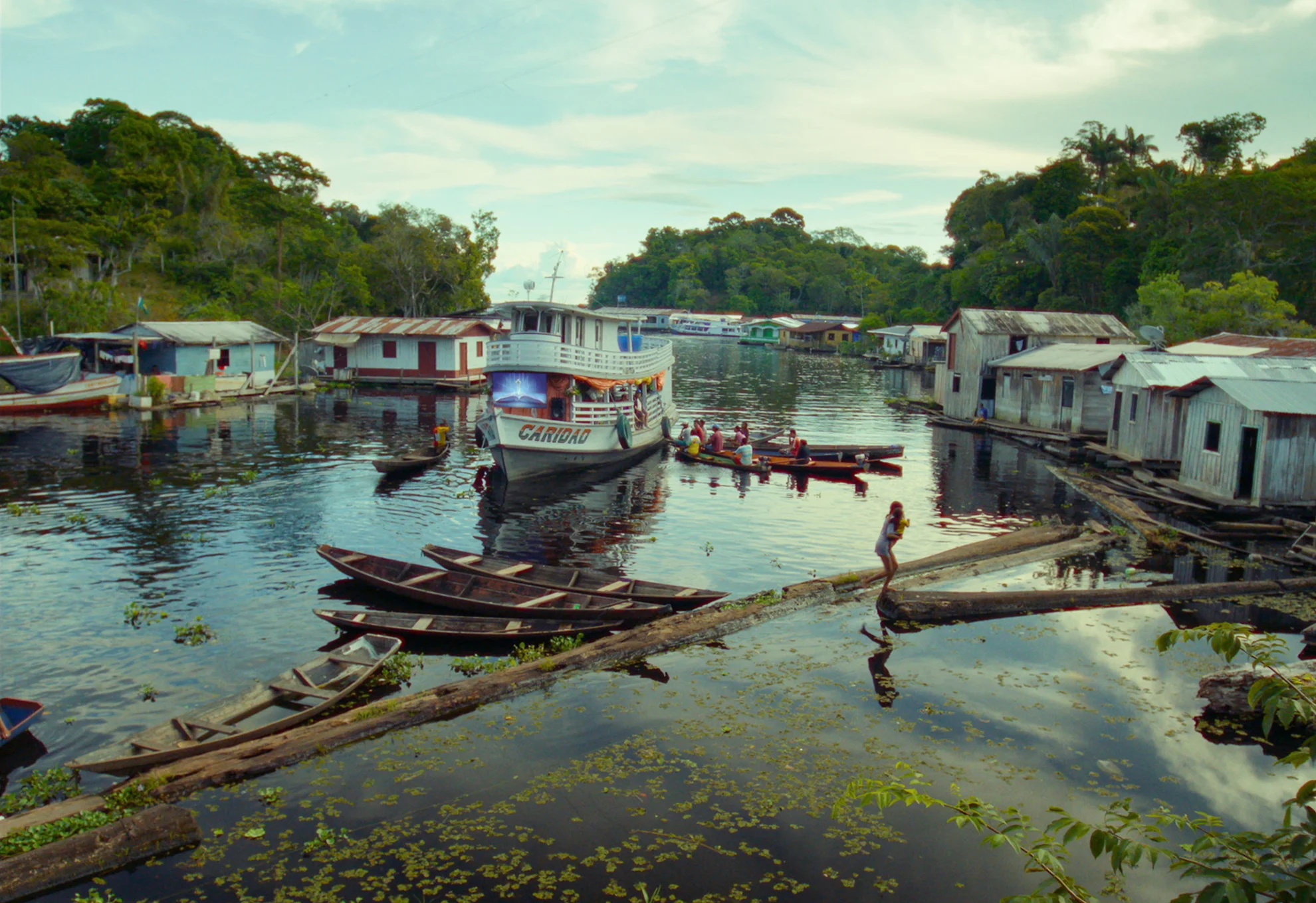 Tereza - O Último Azul hero banner image placeholder