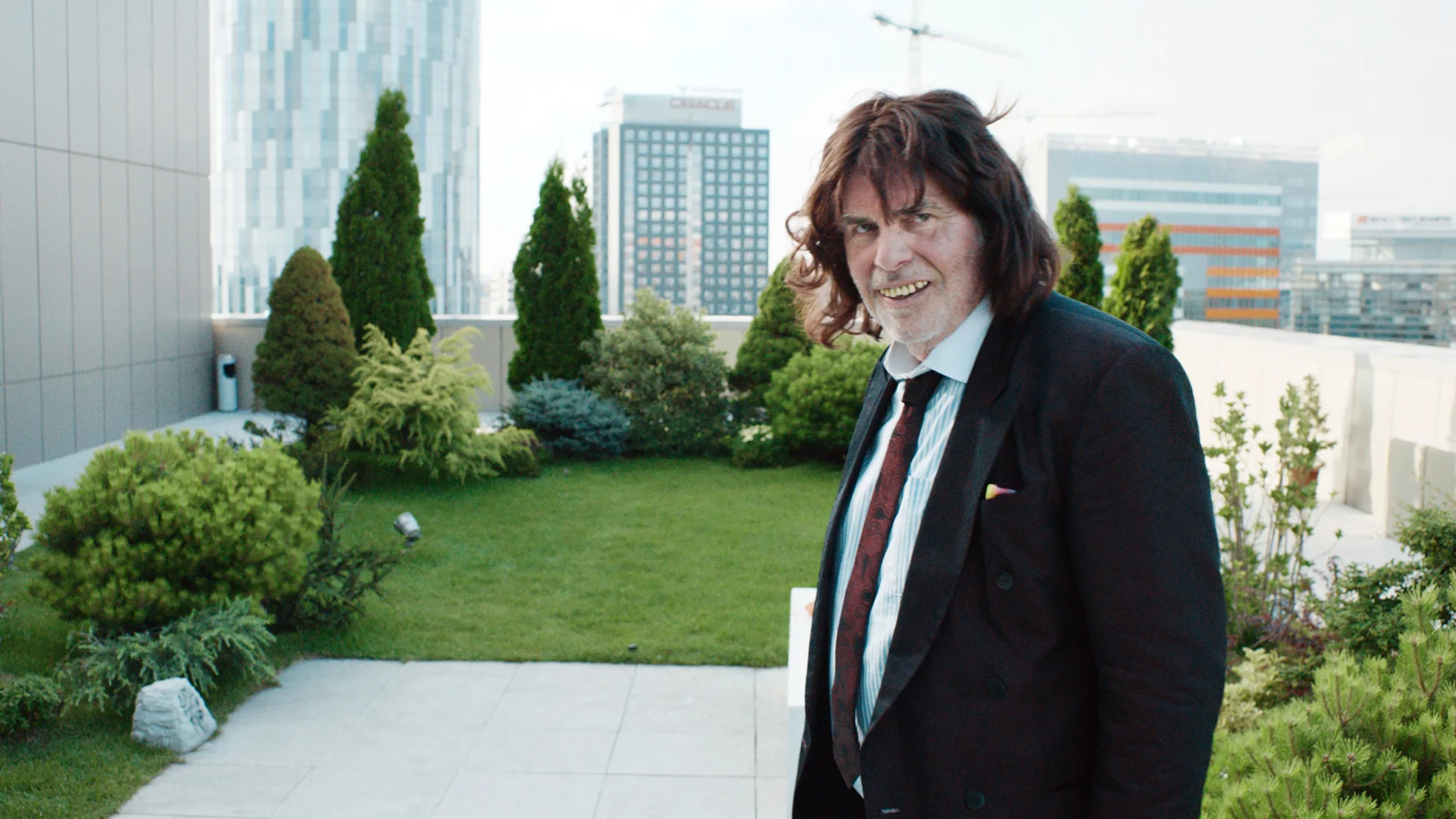 Toni Erdmann hero banner image placeholder