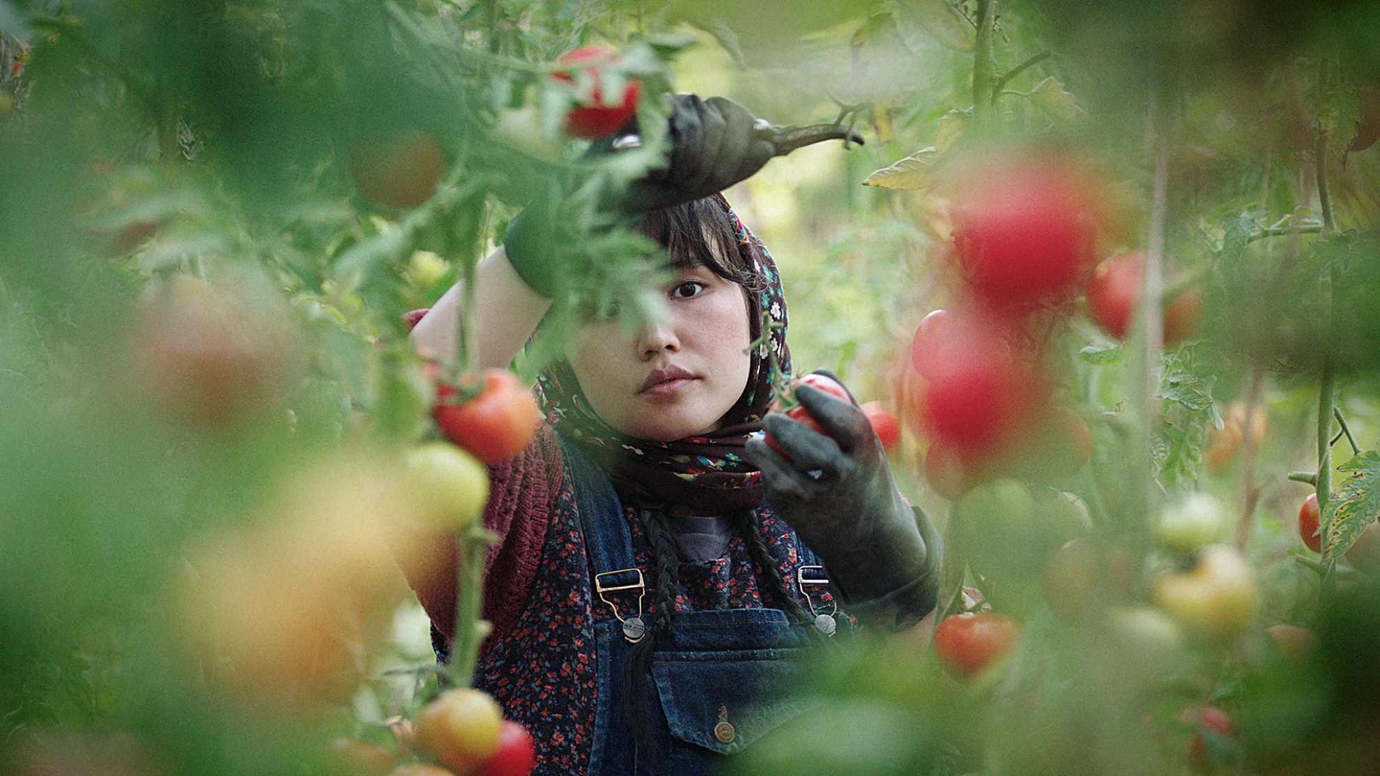 In the Land of Brothers hero banner image