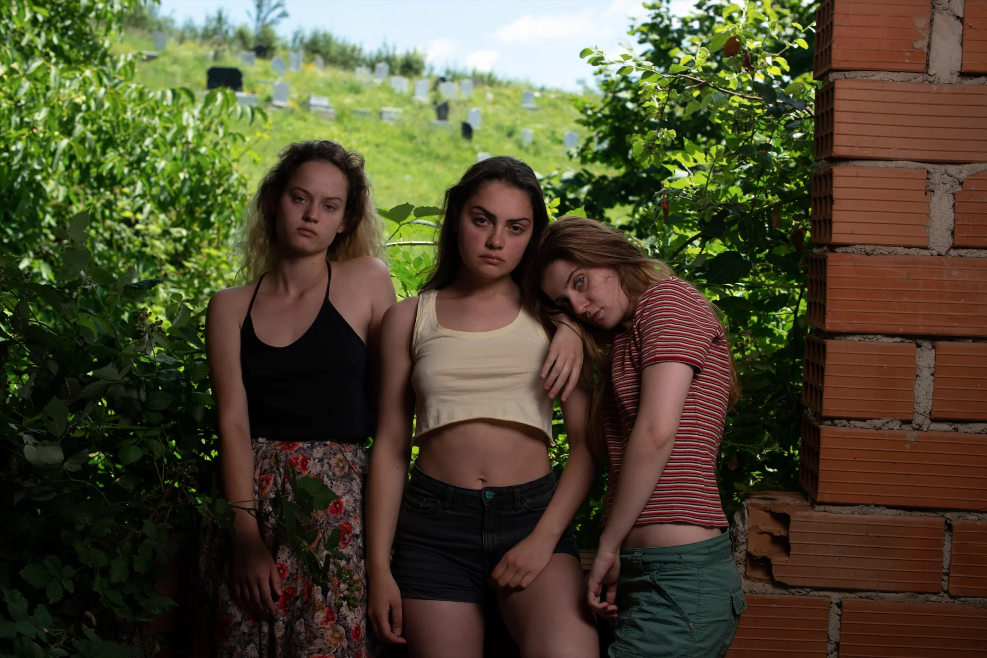 The Hill Where Lionesses Roar hero banner image