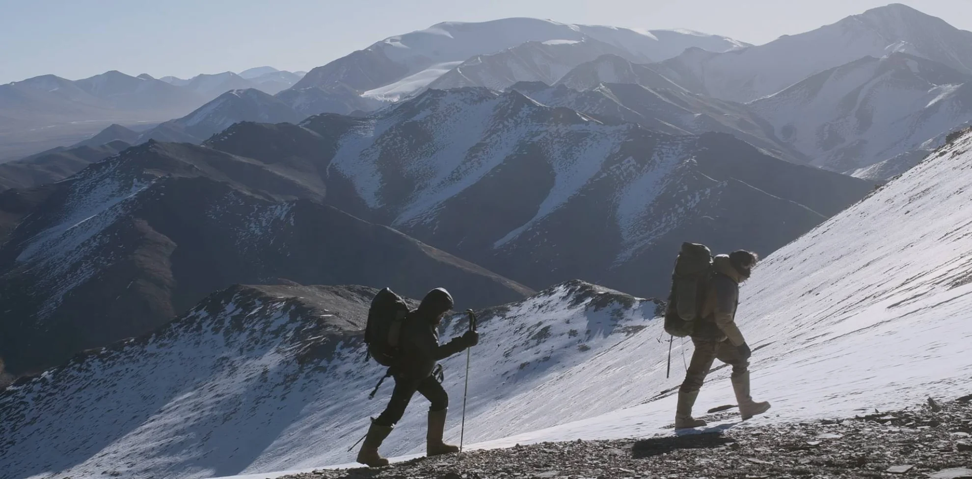 La Panthère des Neiges hero banner image placeholder