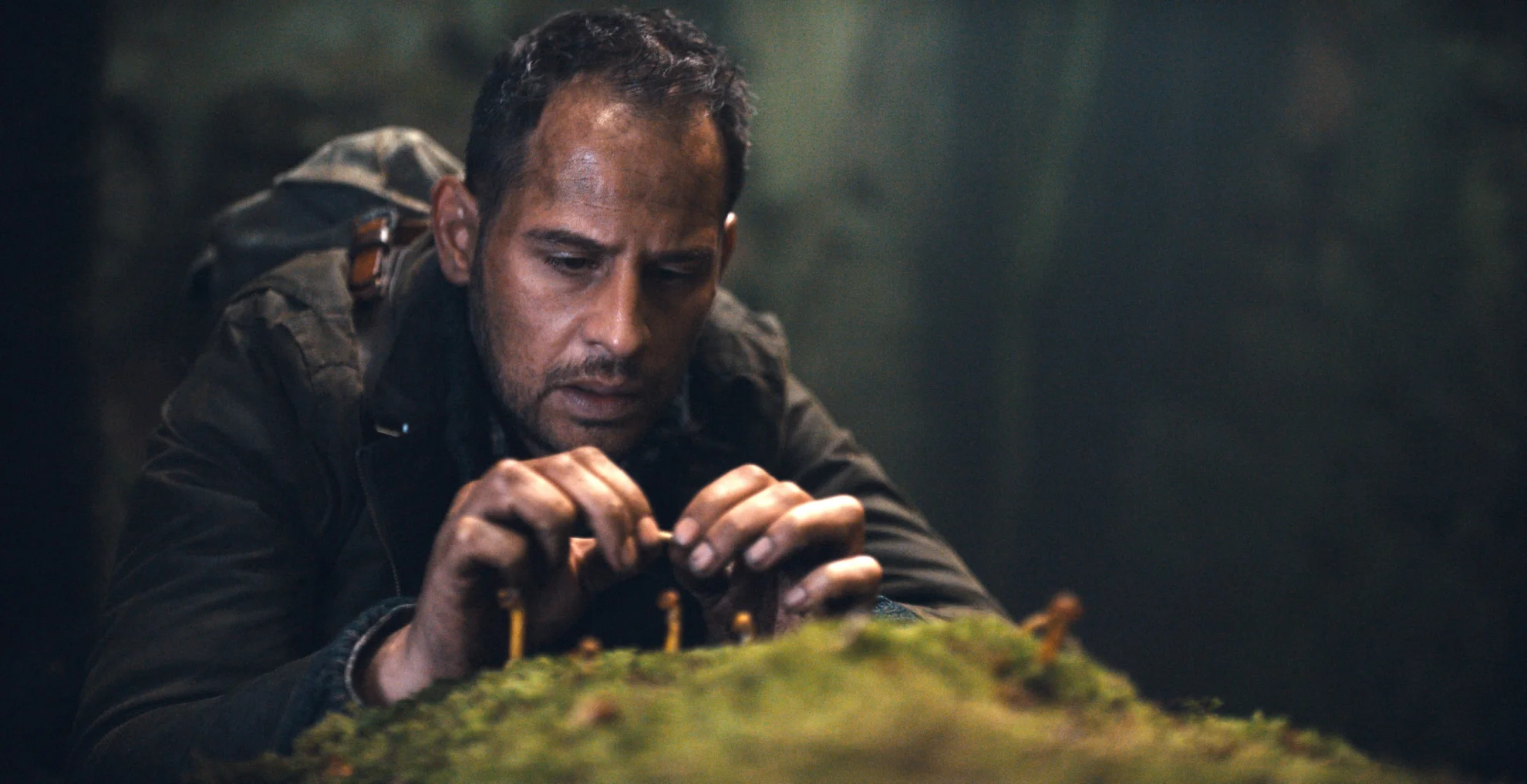 Die dunkle Seite des Mondes hero banner image placeholder