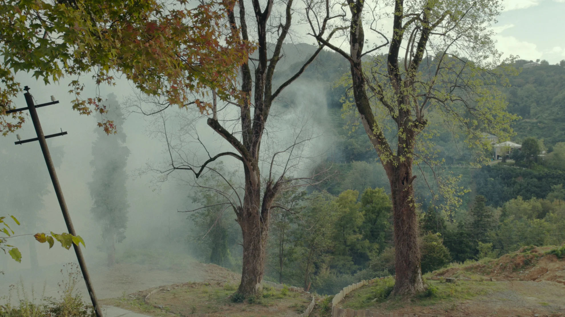 Taming the Garden hero banner image placeholder