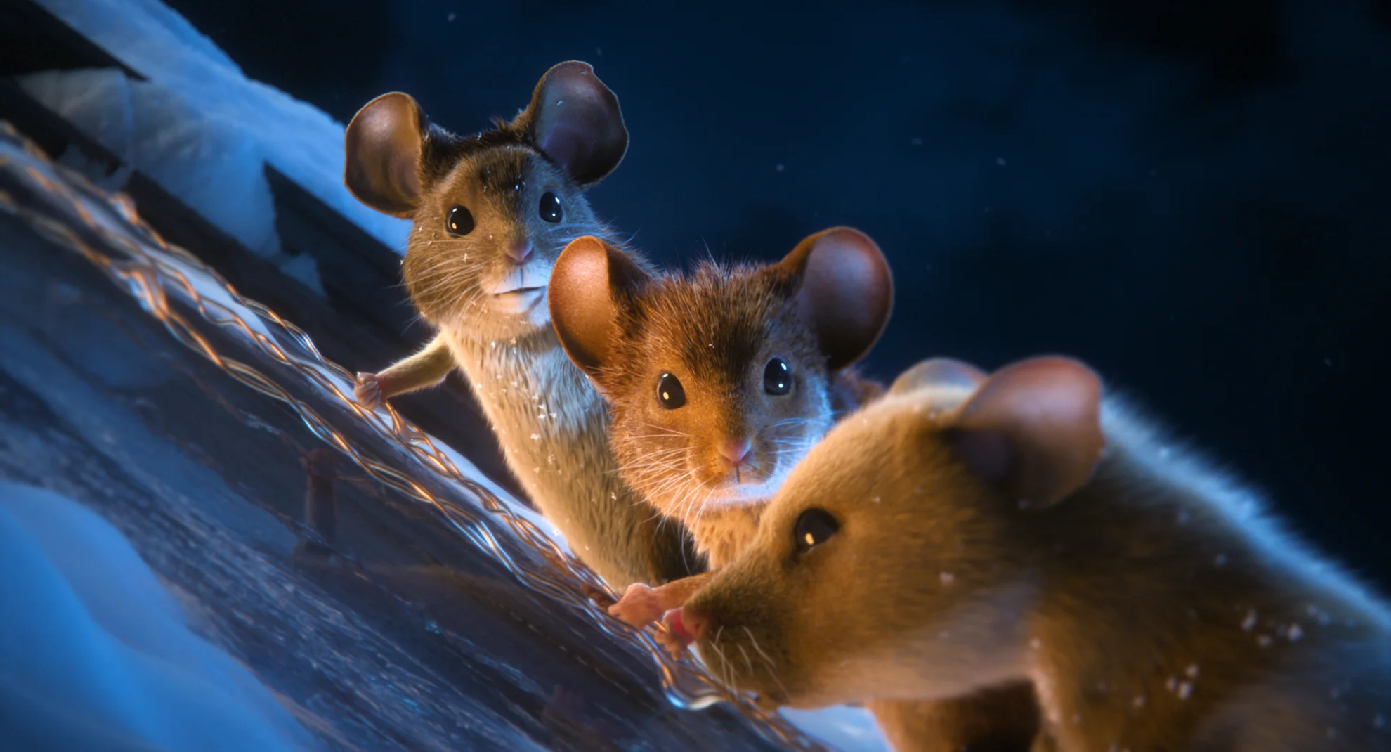 Mission Mäusejagd - Chaos unterm Weihnachtsbaum hero banner image placeholder