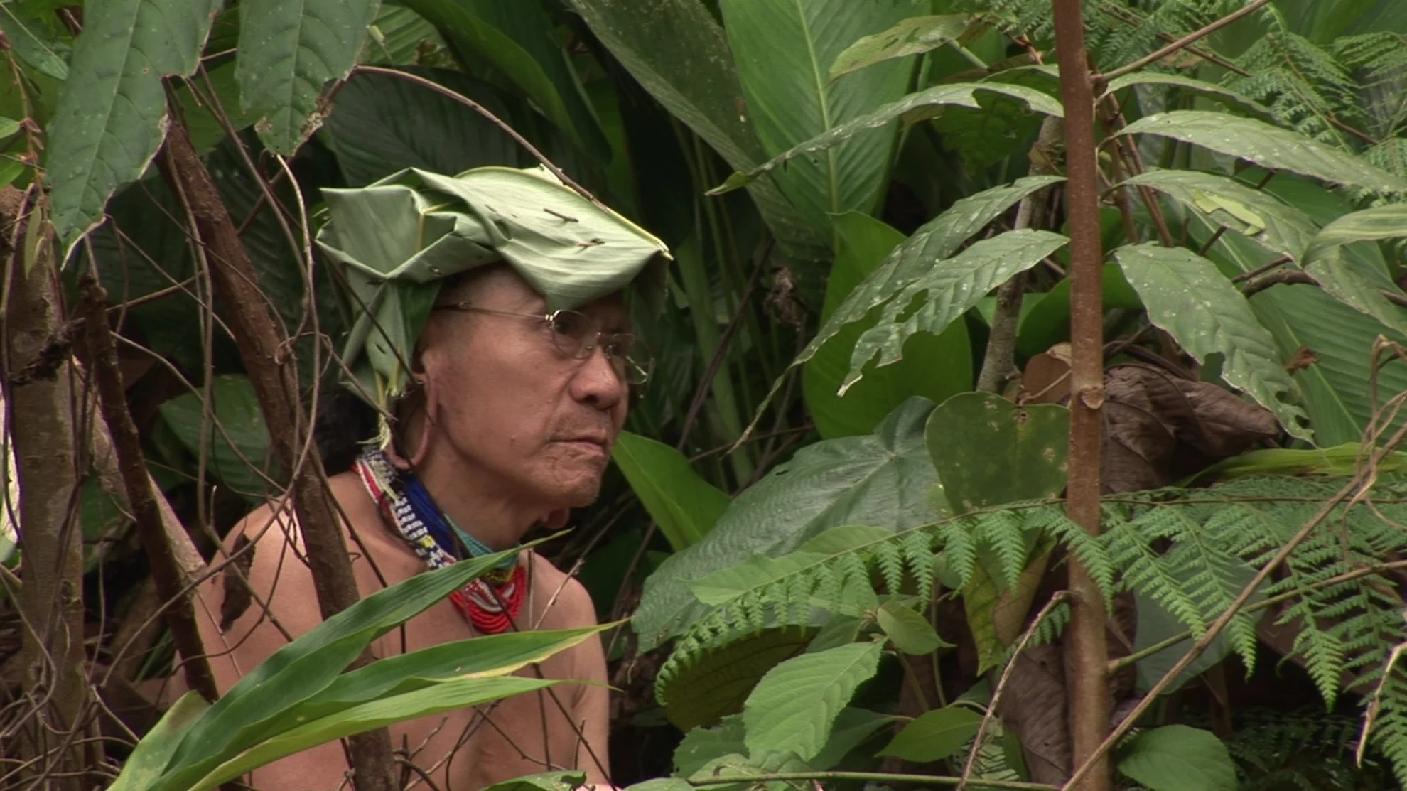 Bruno Manser - Laki Penan hero banner image placeholder