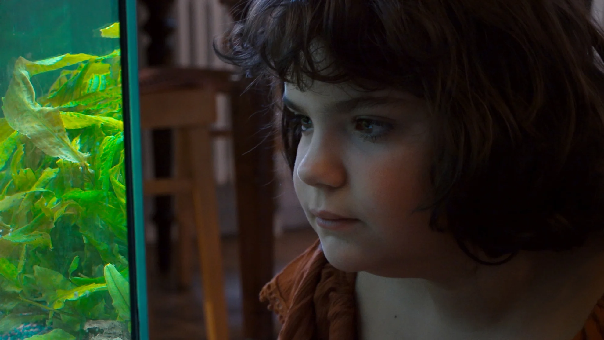 Zürcher Tagebuch hero banner image placeholder