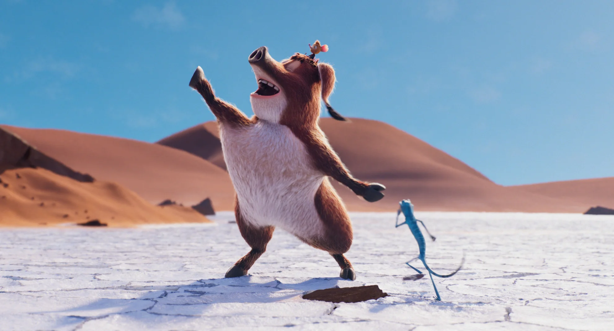 Tafiti - Ab durch die Wüste hero banner image placeholder