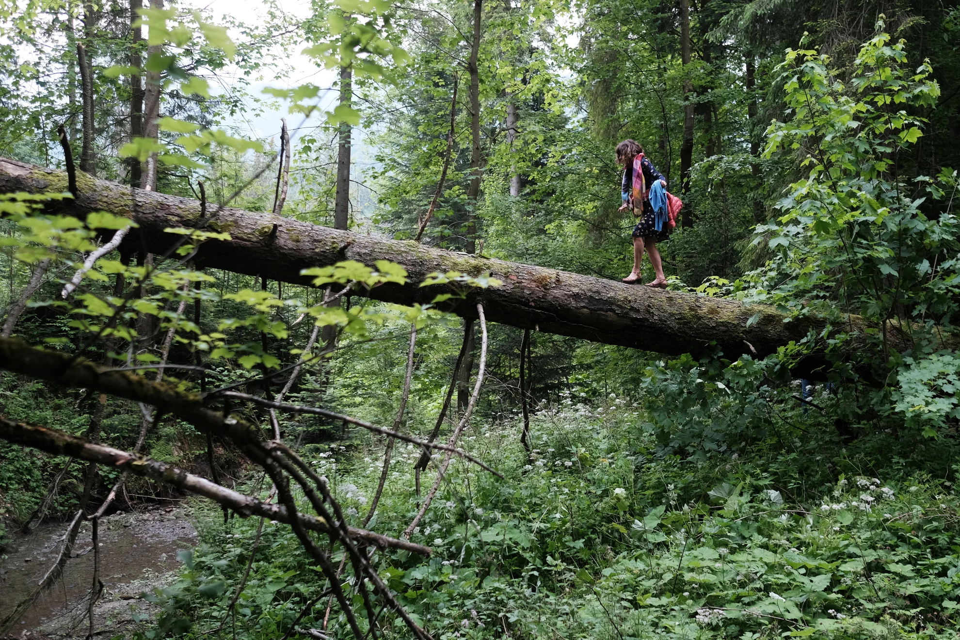 Milosc jak miod hero banner image placeholder