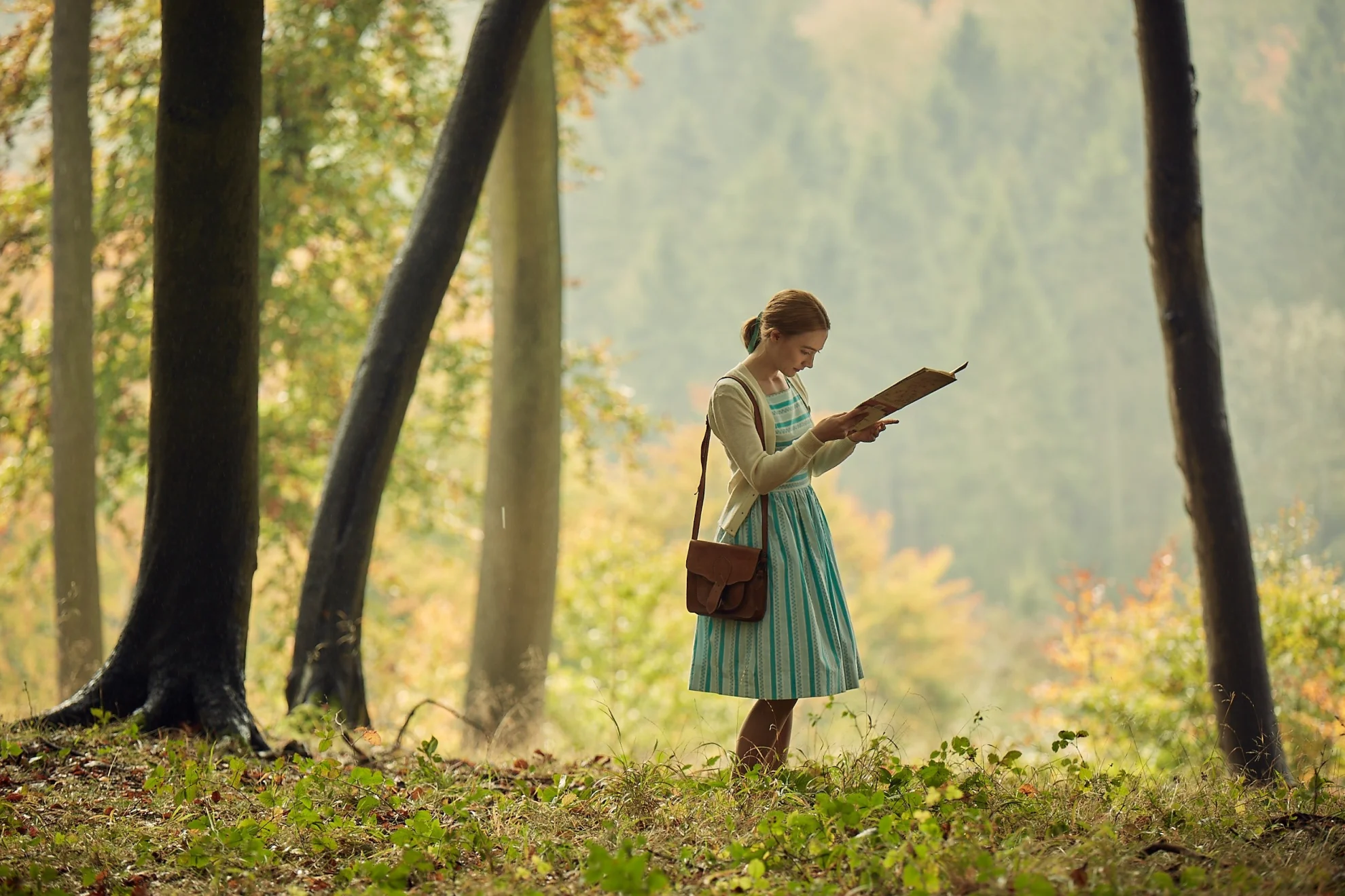 On Chesil Beach hero banner image placeholder