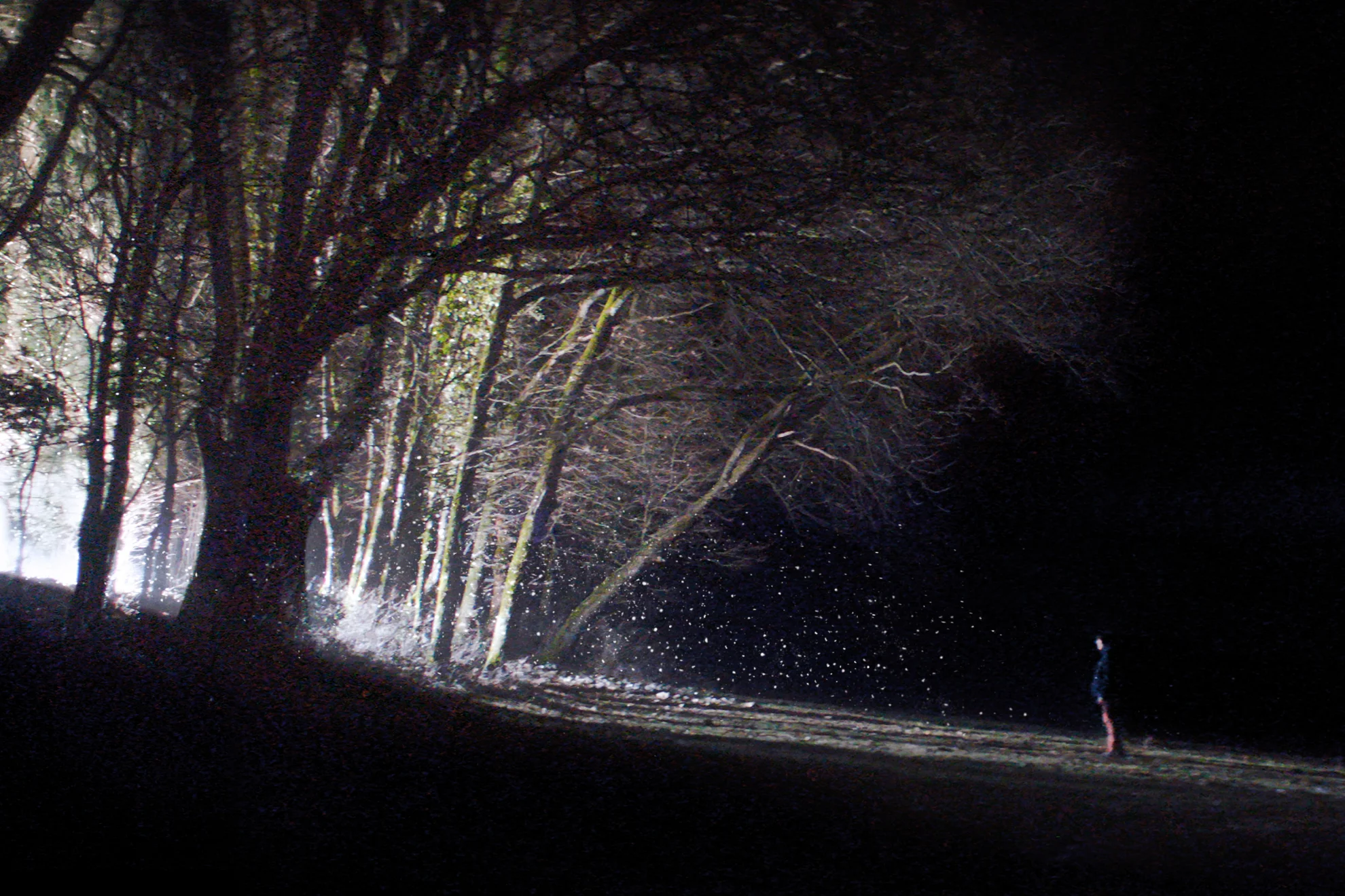 Les particules hero banner image placeholder