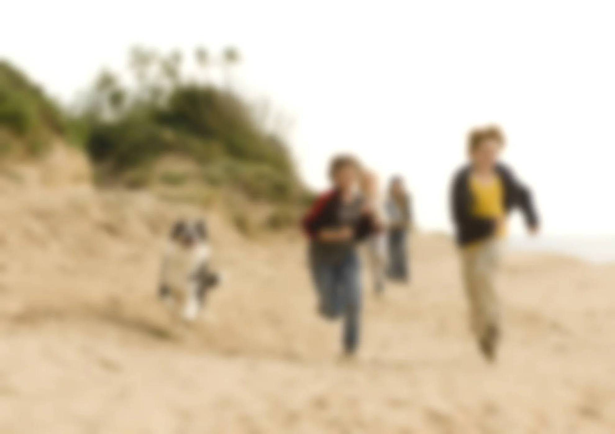 Fünf Freunde hero banner image placeholder